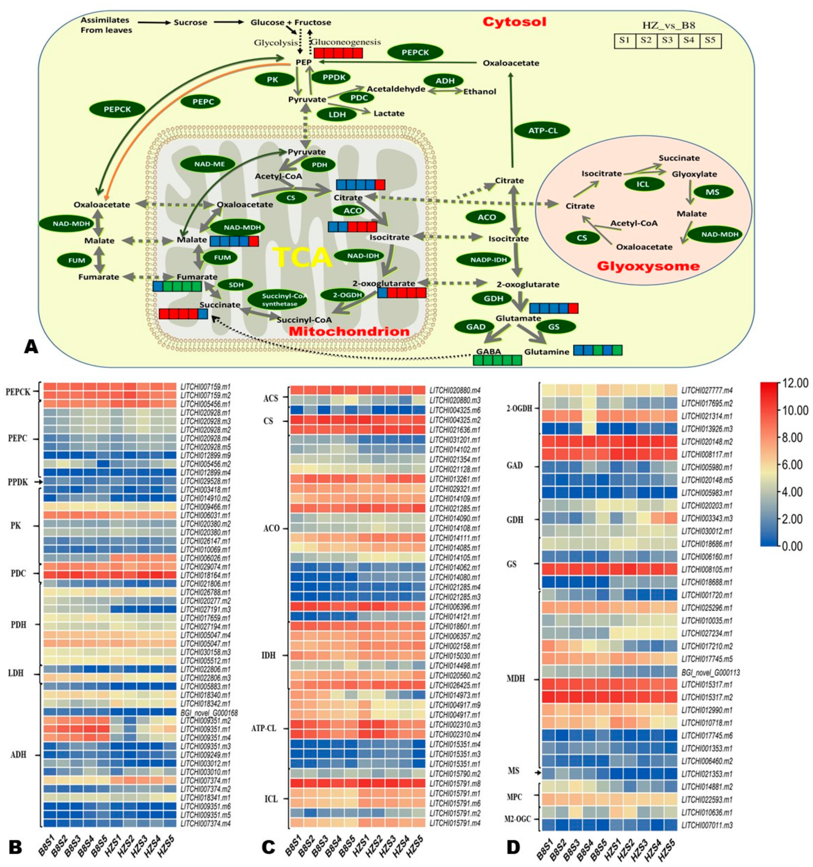 Ijms 24 01871 g007 Ijms 24 01871 g007
