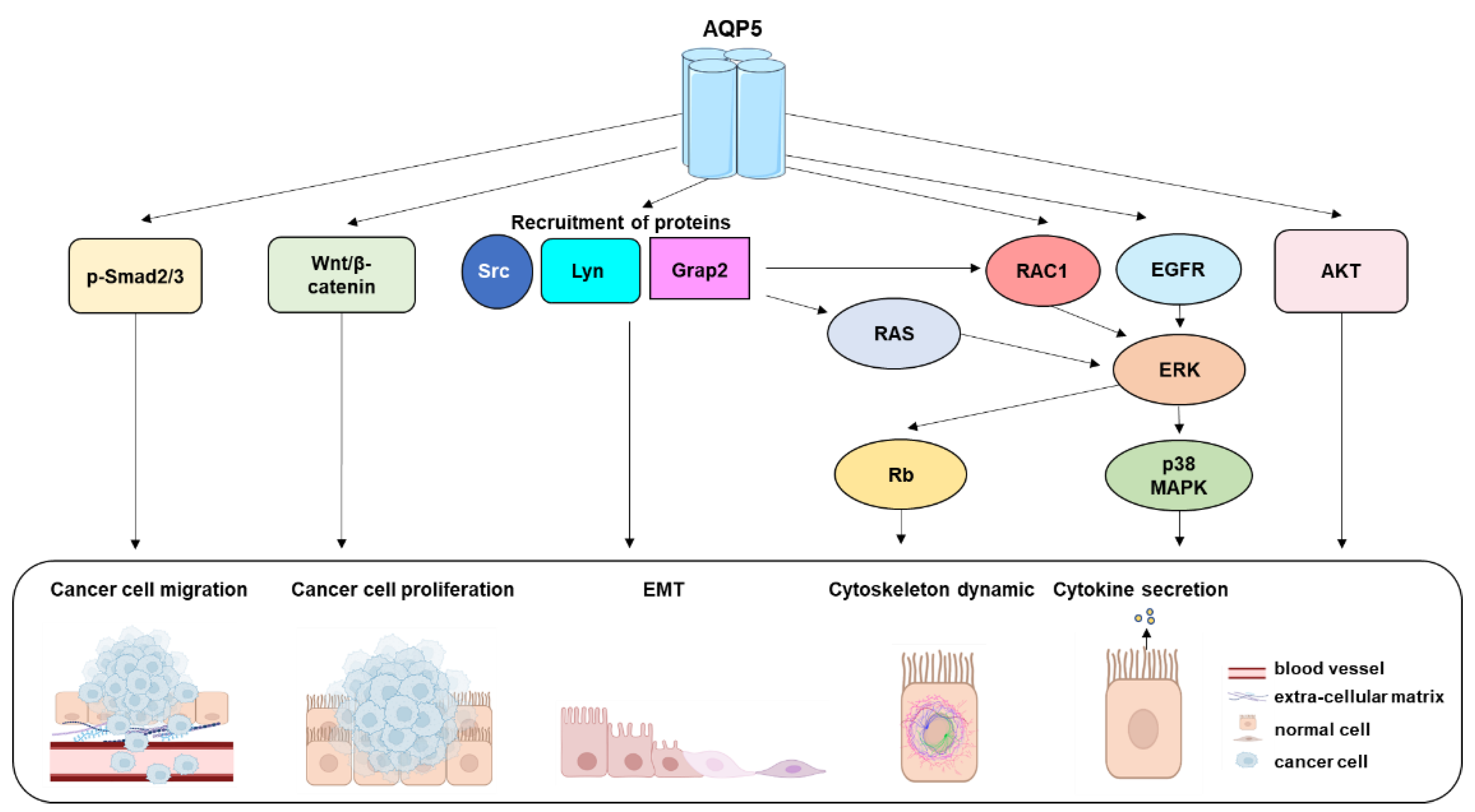 Ijms 24 01889 g004 Ijms 24 01889 g004