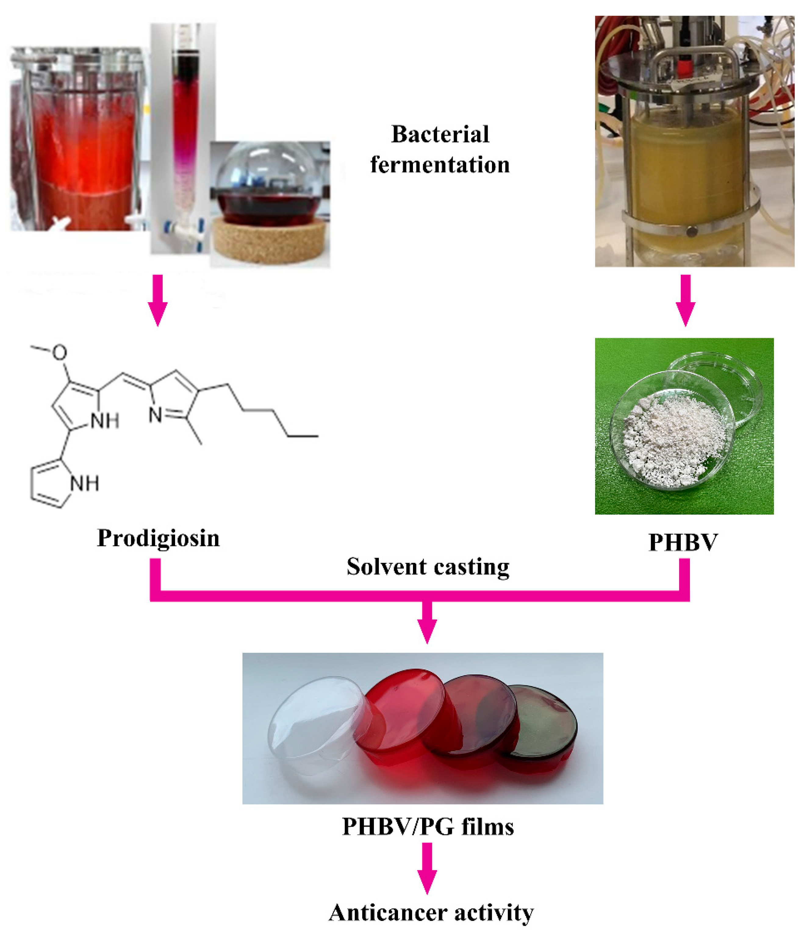 Ijms 24 01906 g001 Ijms 24 01906 g001