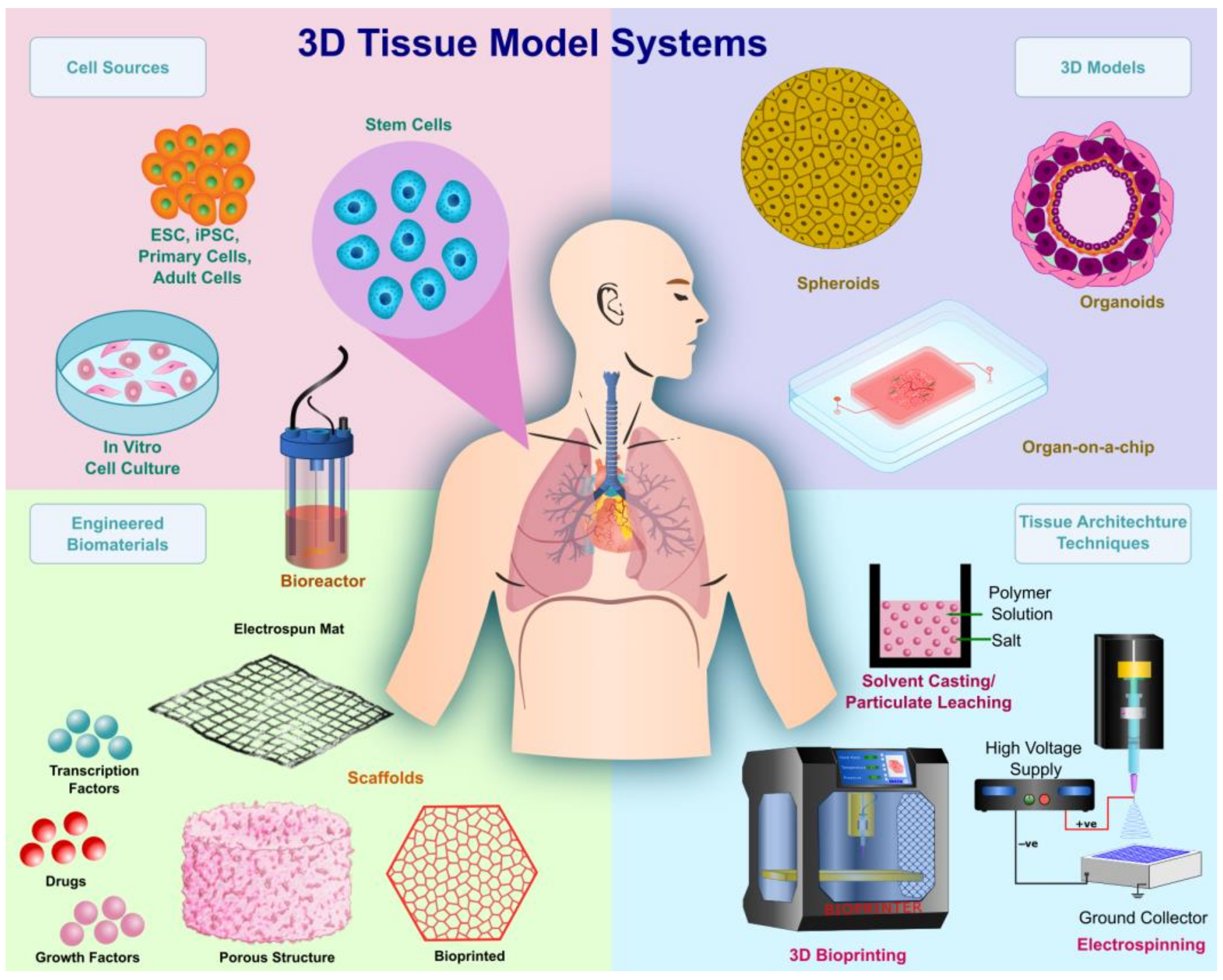 Ijms 24 01912 g001 Ijms 24 01912 g001