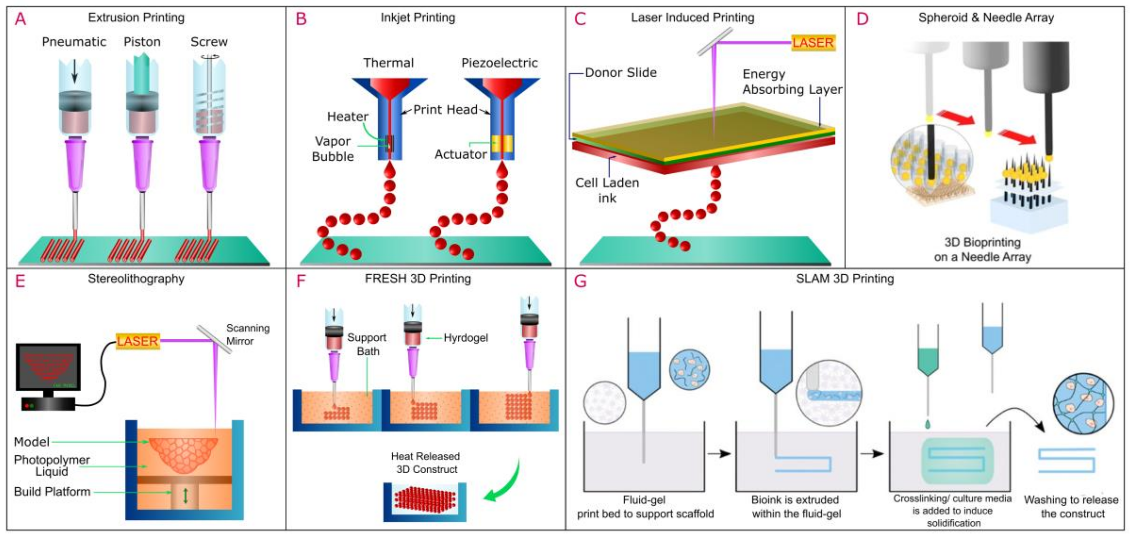 Ijms 24 01912 g004 Ijms 24 01912 g004