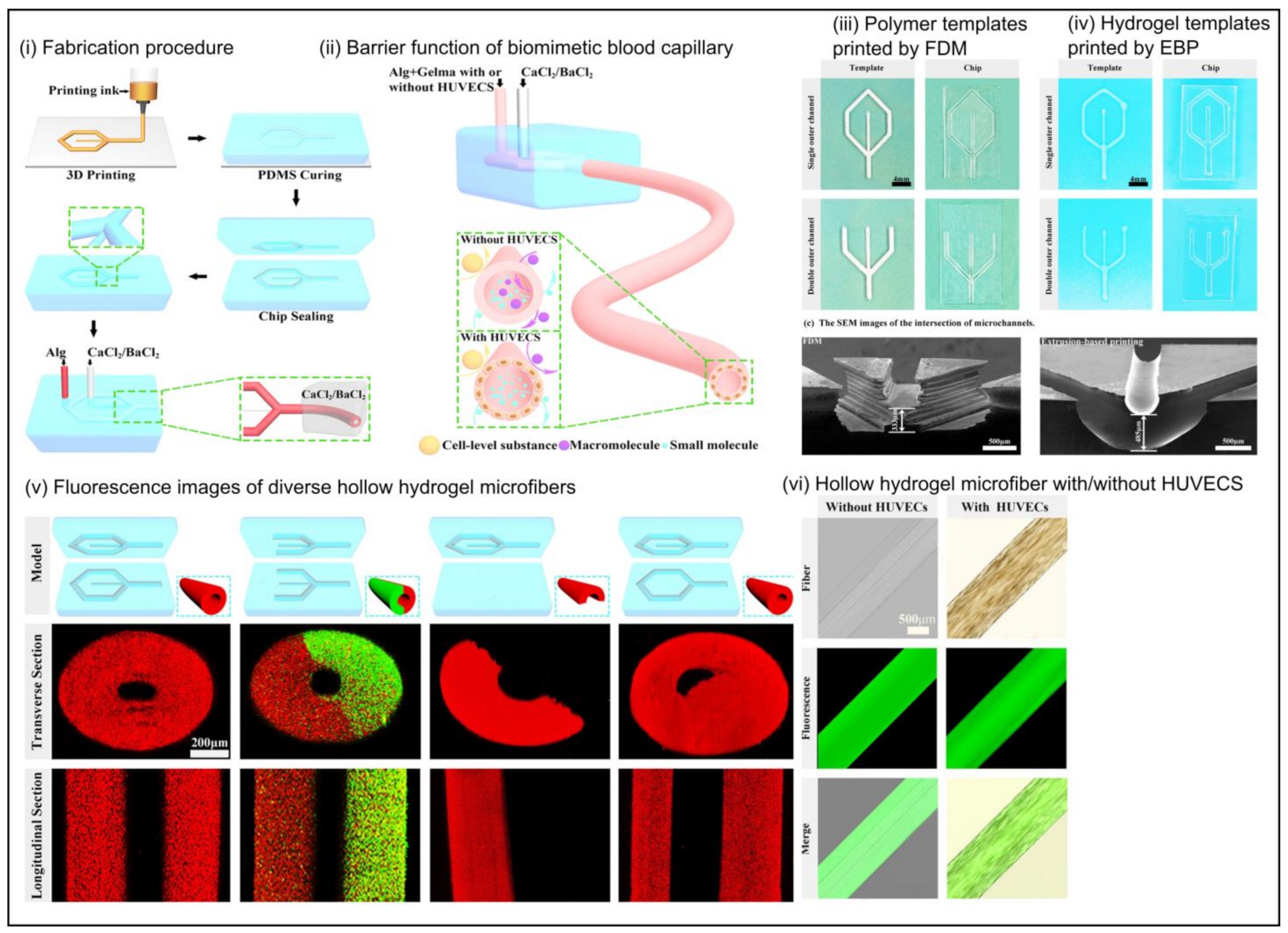 Ijms 24 01912 g007 Ijms 24 01912 g007
