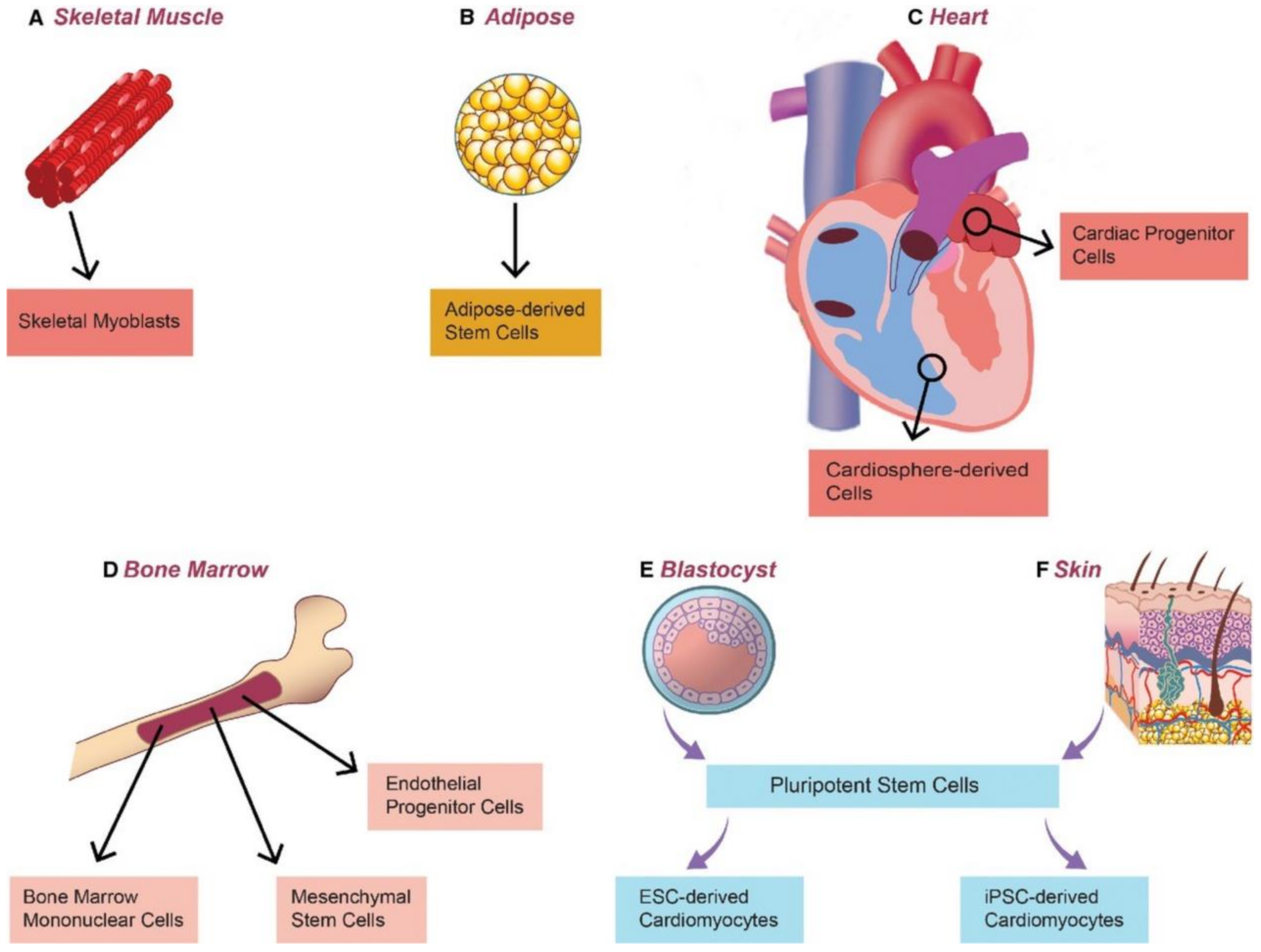 Ijms 24 01912 g008 Ijms 24 01912 g008