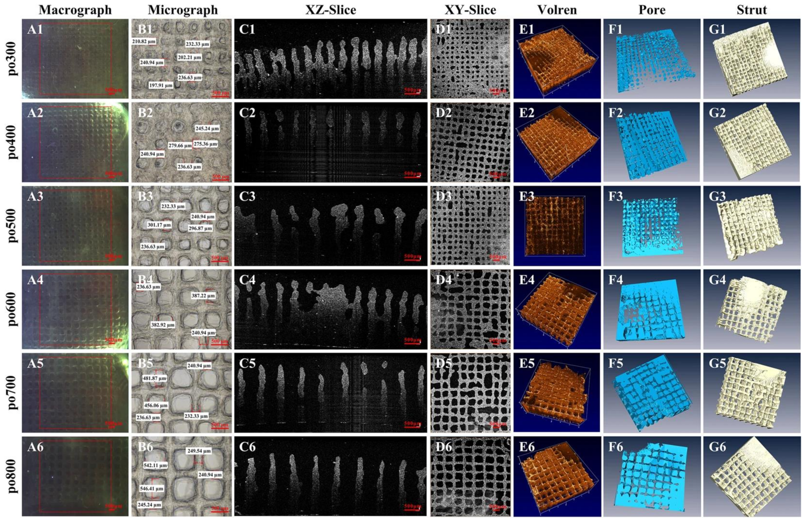 Ijms 24 01912 g010 Ijms 24 01912 g010