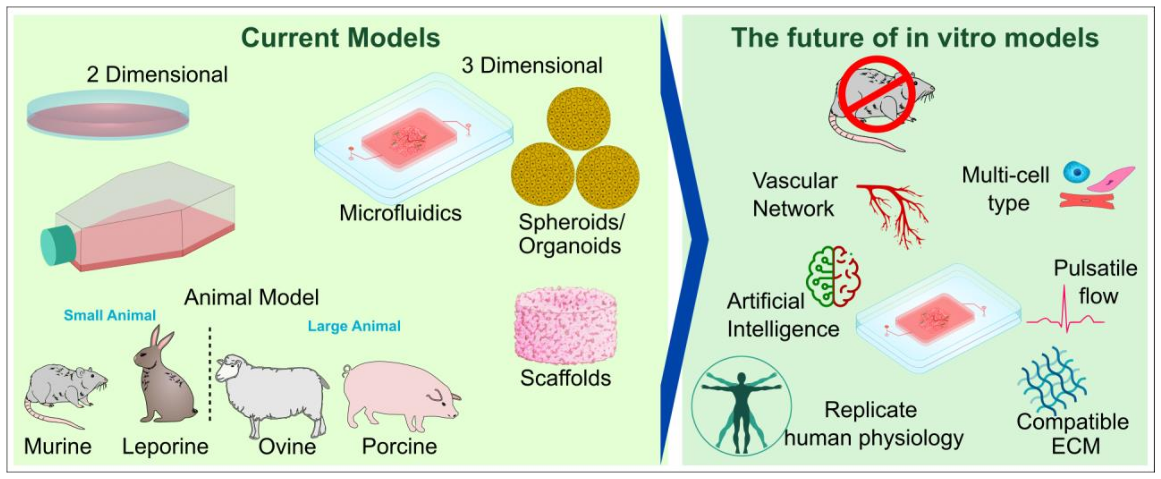 Ijms 24 01912 g012 Ijms 24 01912 g012