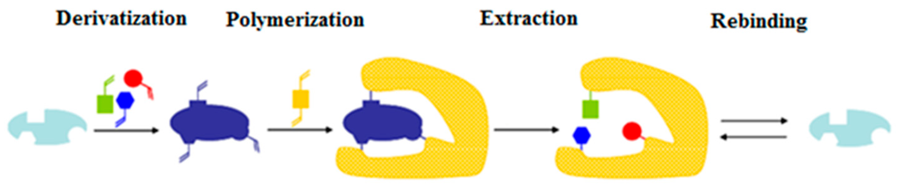 Ijms 24 01915 g002 Ijms 24 01915 g002