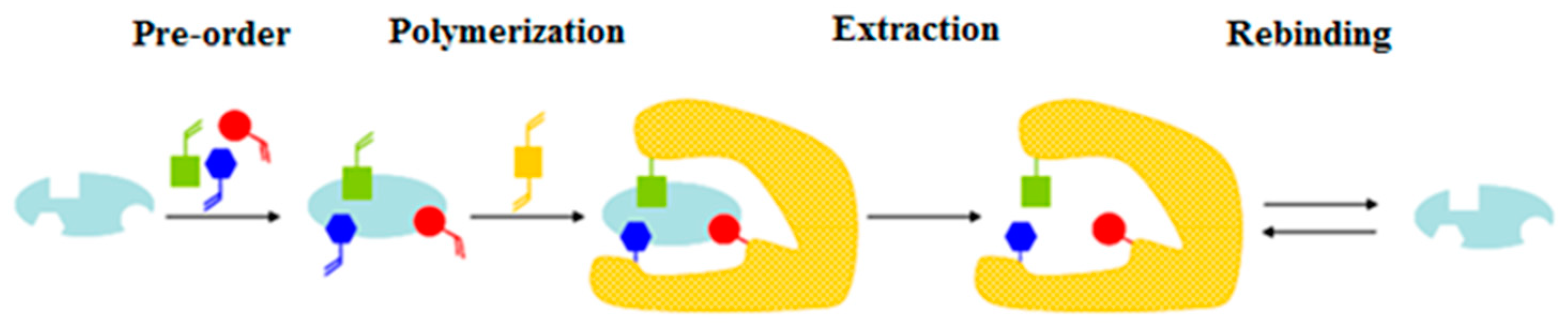 Ijms 24 01915 g003 Ijms 24 01915 g003