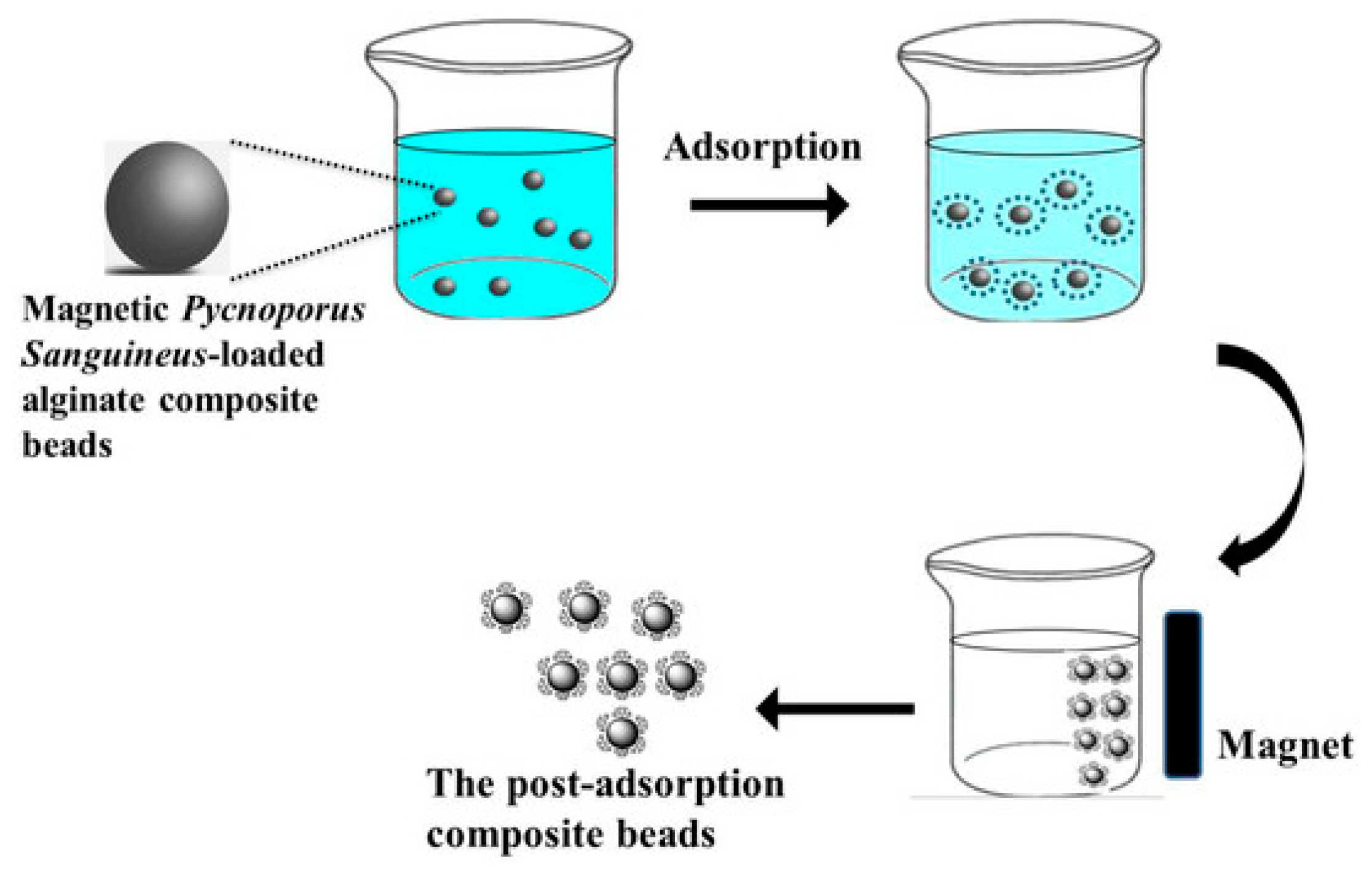 Ijms 24 01915 g004 Ijms 24 01915 g004