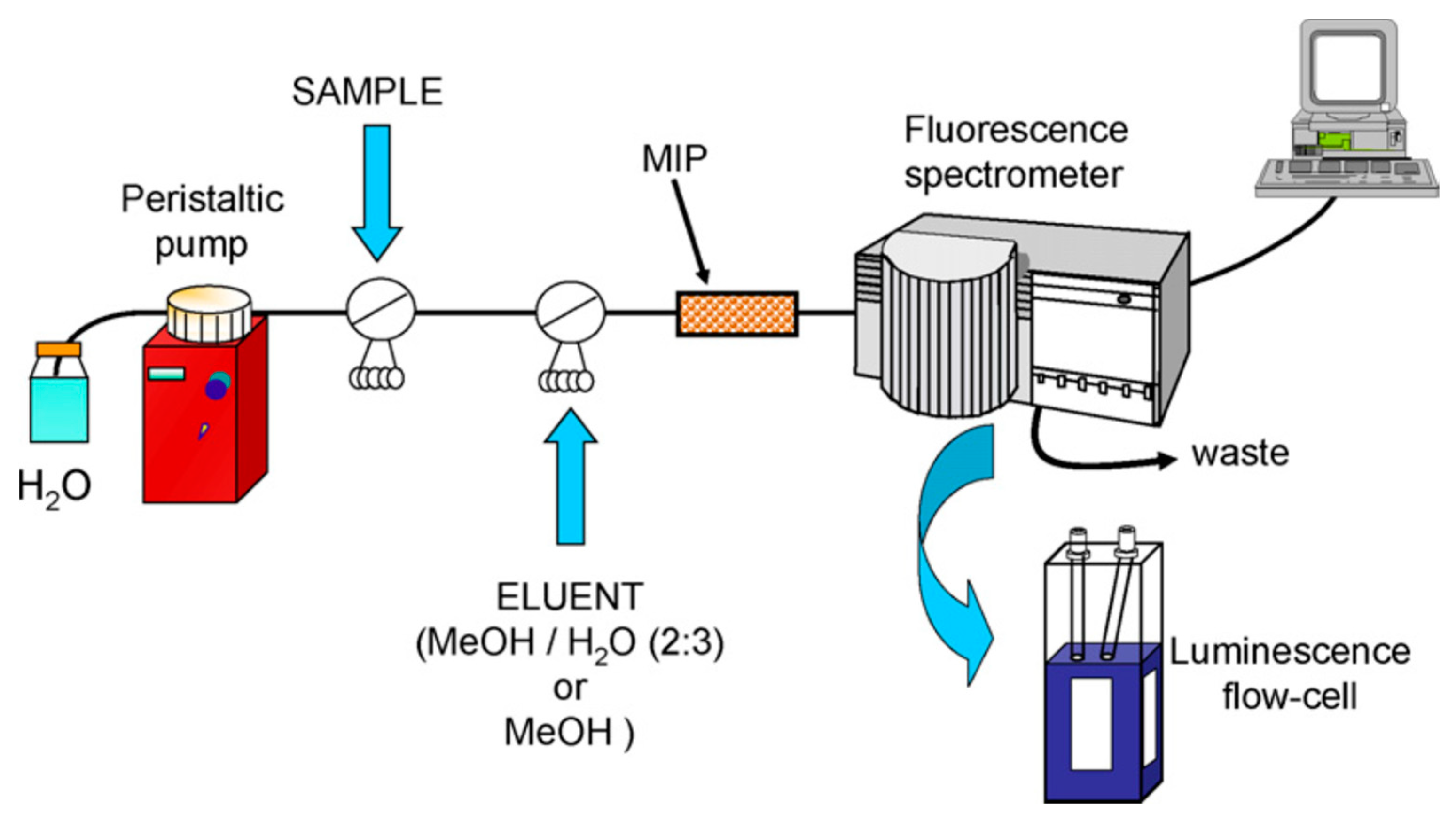 Ijms 24 01915 g005 Ijms 24 01915 g005