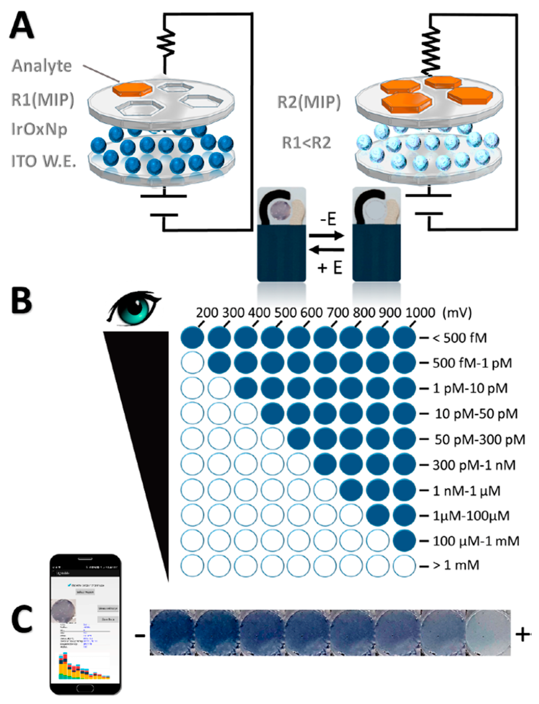 Ijms 24 01915 g006 Ijms 24 01915 g006