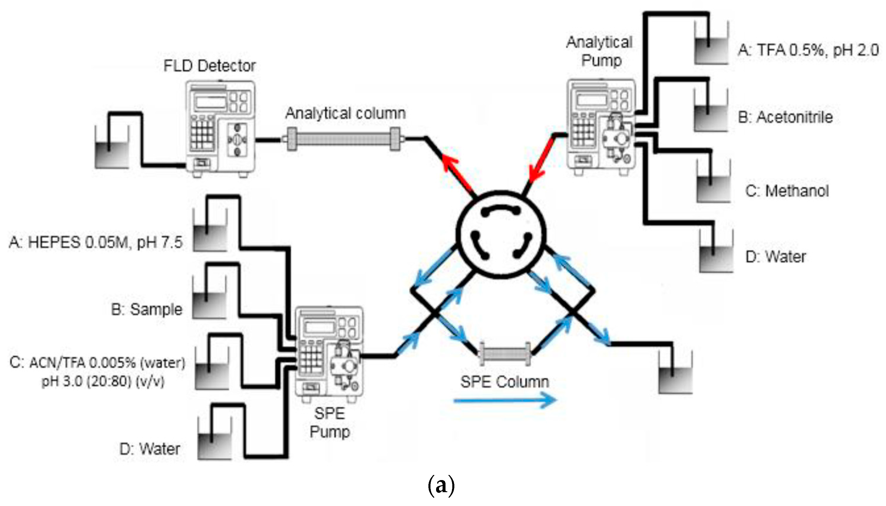 Ijms 24 01915 g009a Ijms 24 01915 g009a
