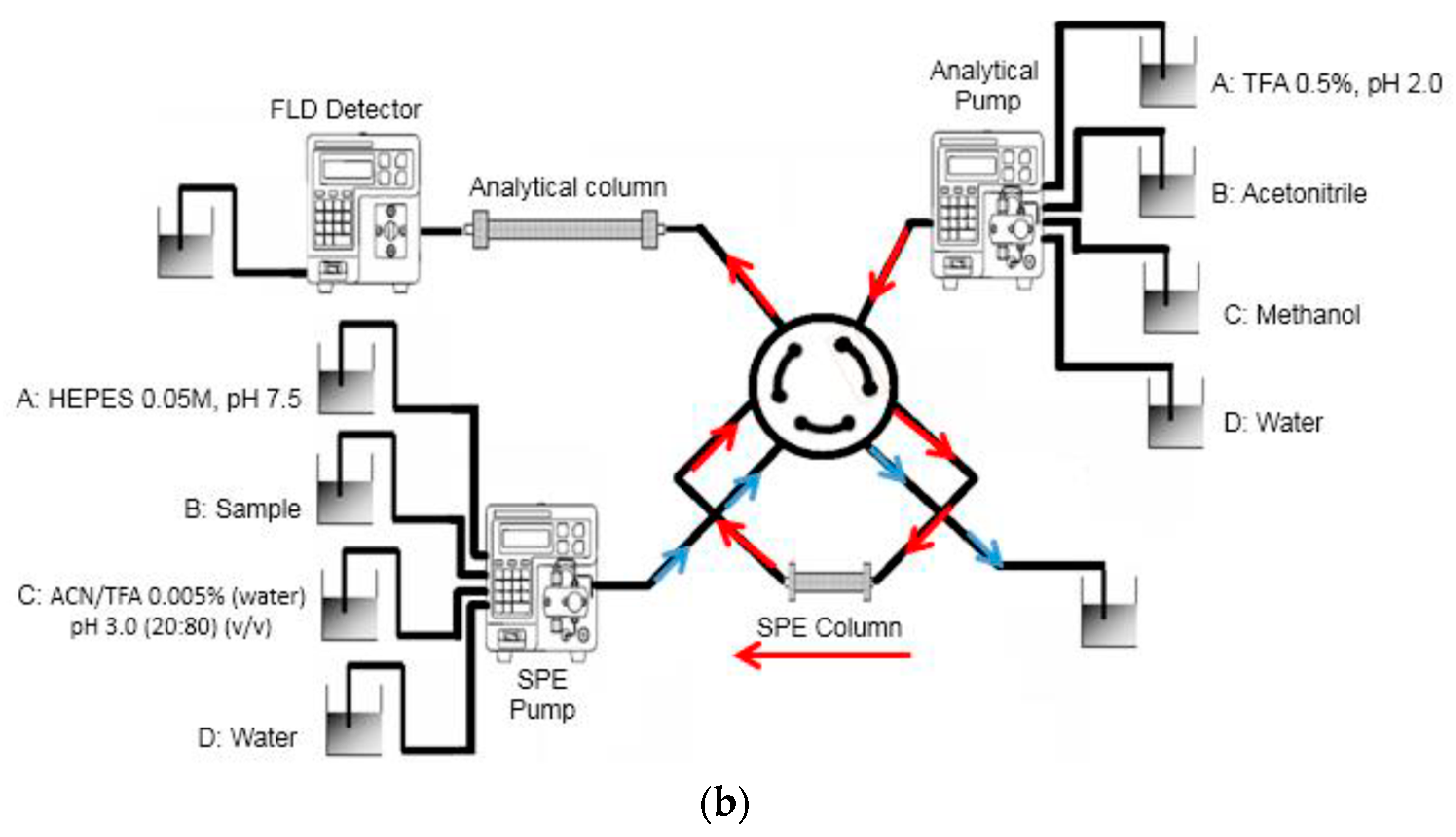 Ijms 24 01915 g009b Ijms 24 01915 g009b