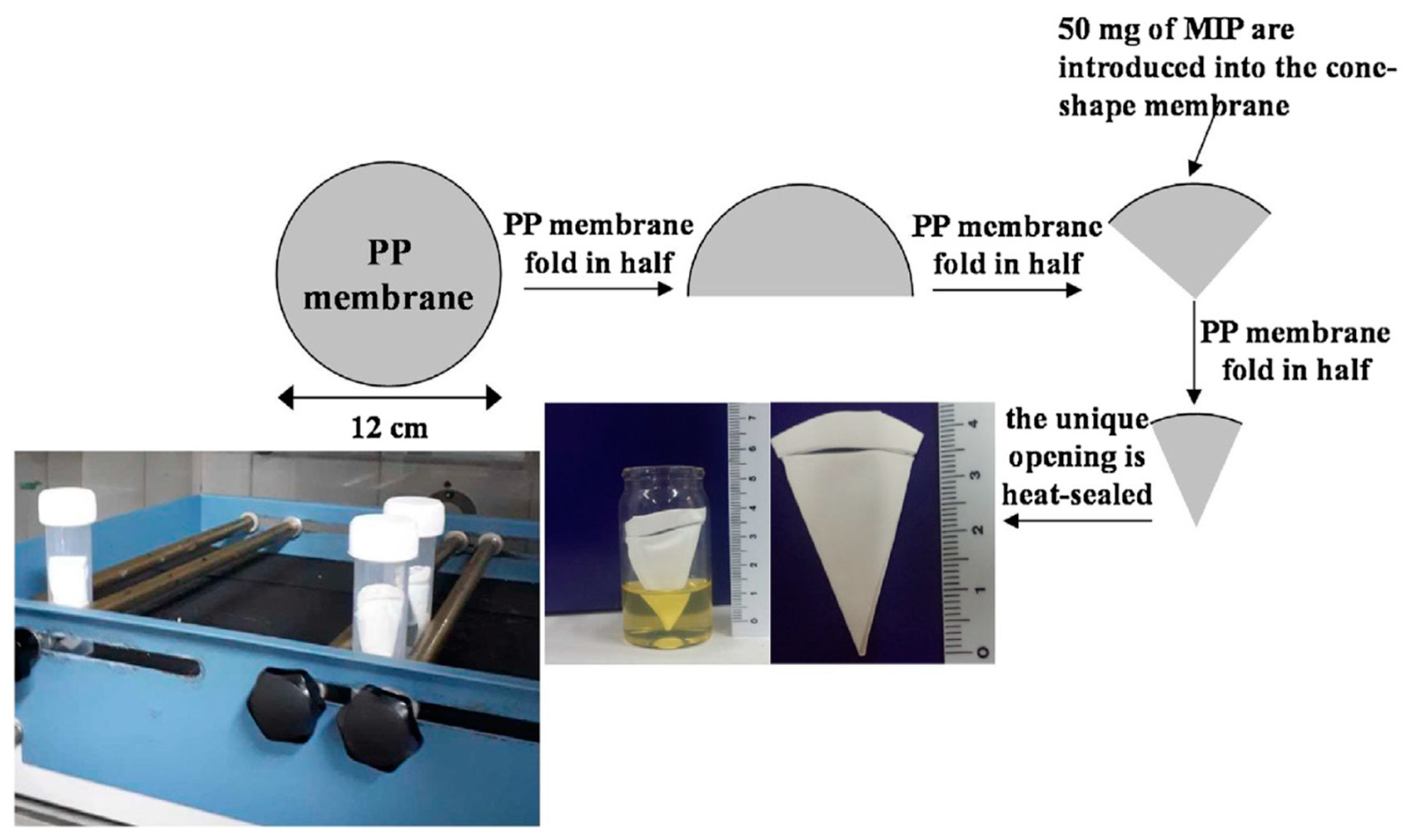 Ijms 24 01915 g010 Ijms 24 01915 g010