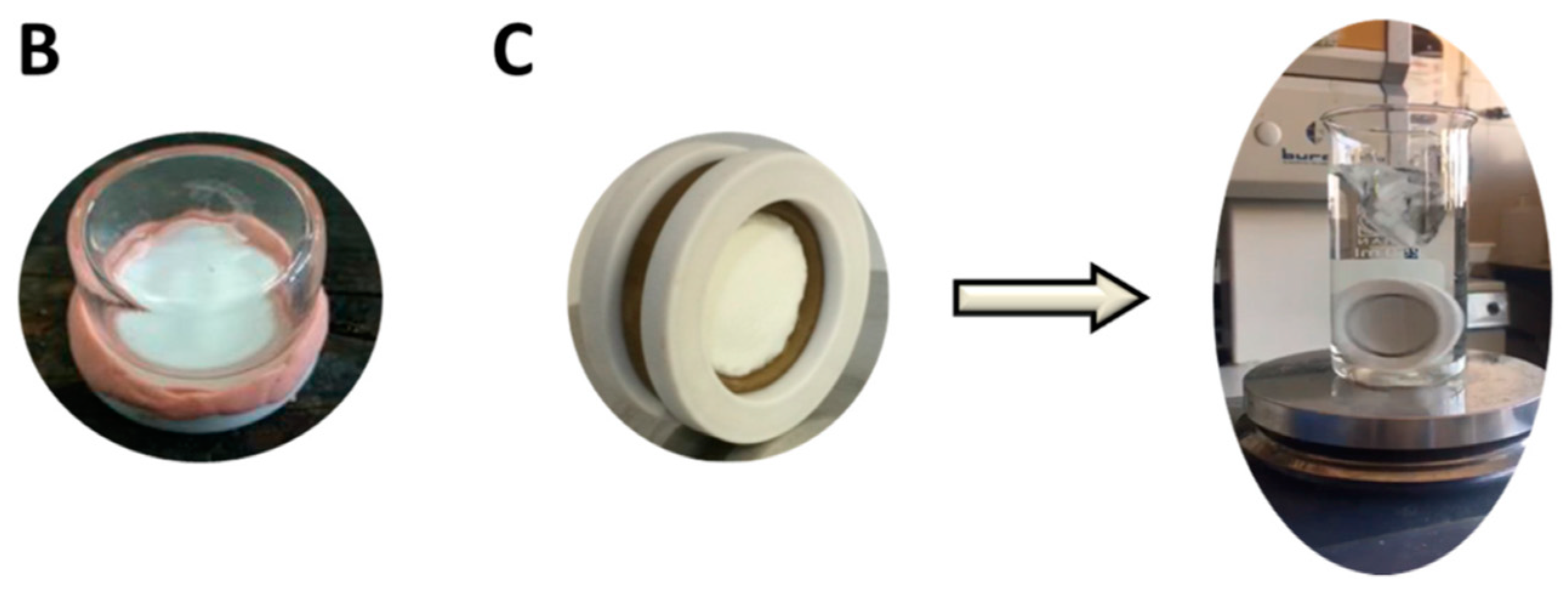 Ijms 24 01915 g011b Ijms 24 01915 g011b