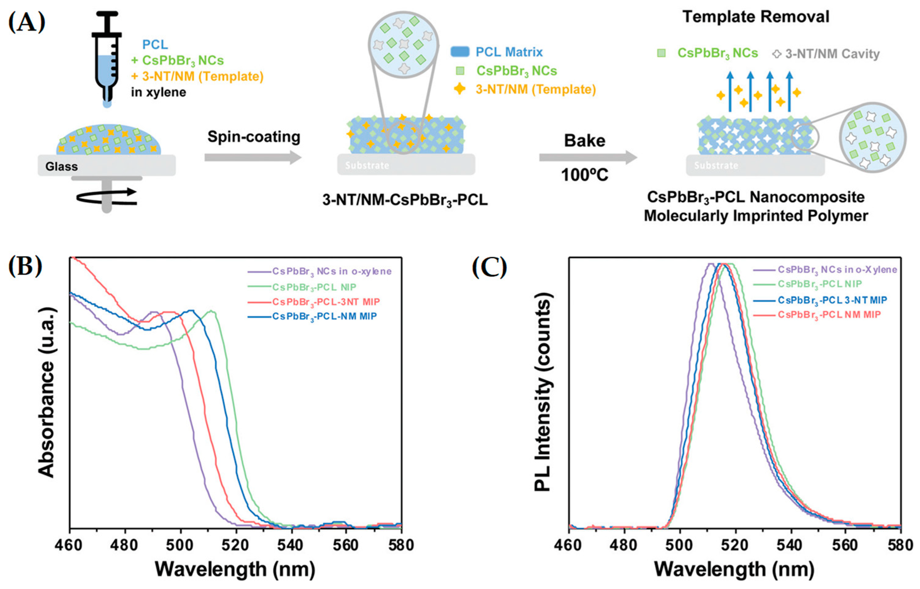 Ijms 24 01915 g012 Ijms 24 01915 g012
