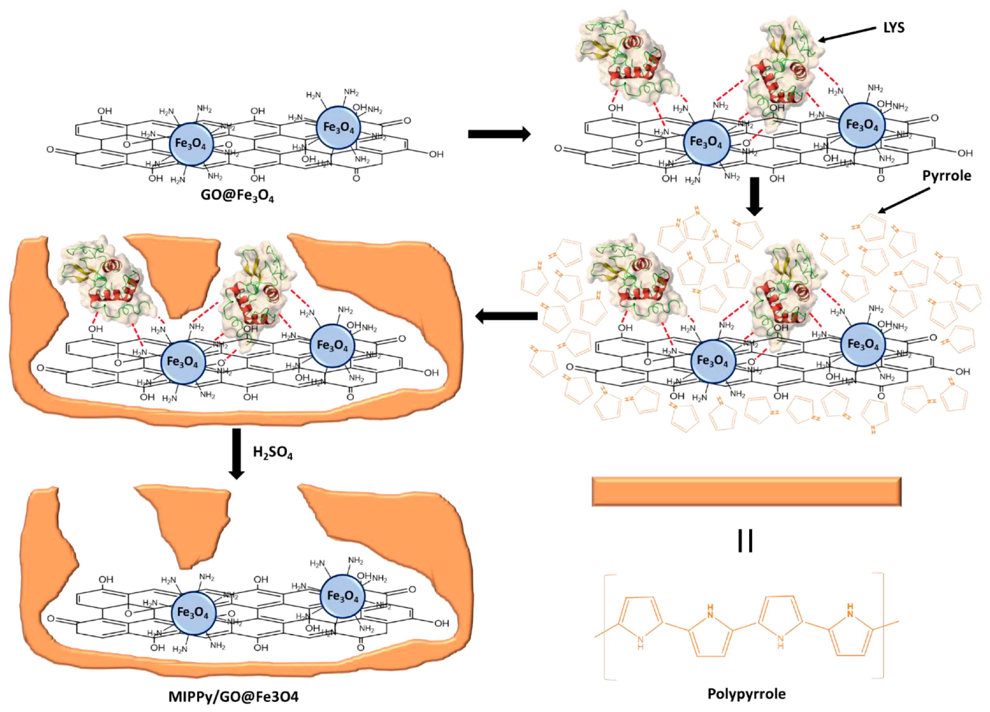 Ijms 24 01915 g013 Ijms 24 01915 g013