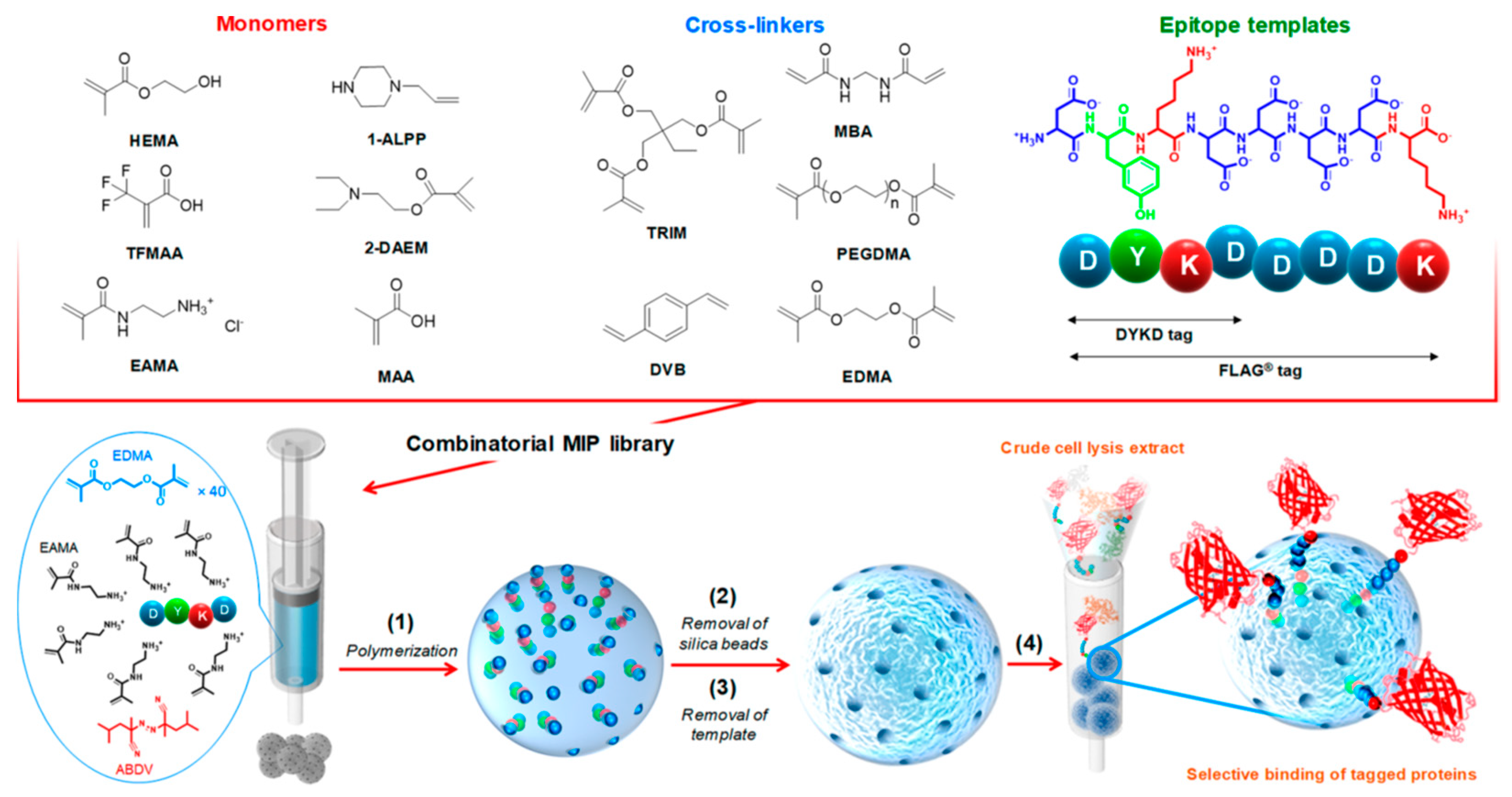 Ijms 24 01915 g015 Ijms 24 01915 g015