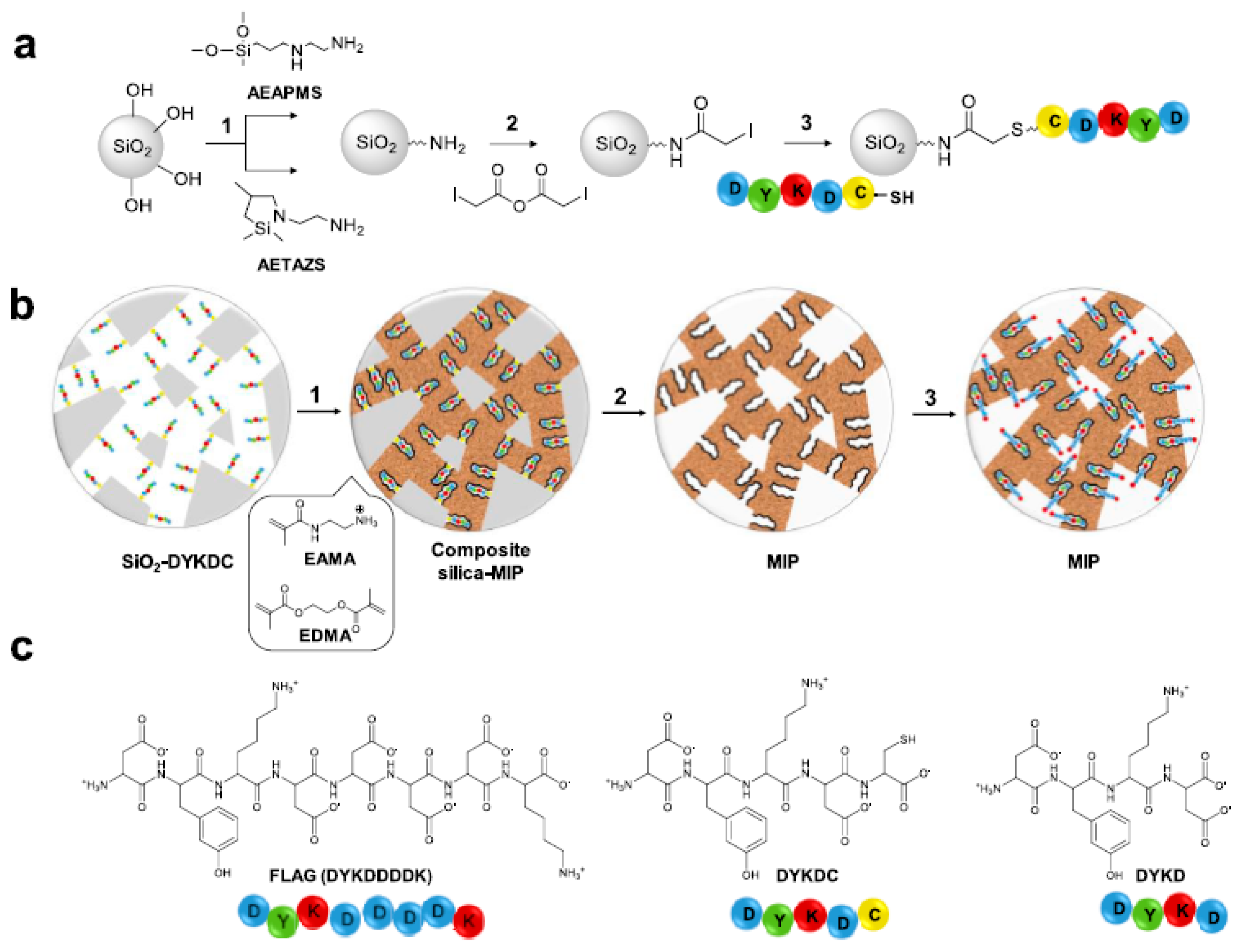 Ijms 24 01915 g016 Ijms 24 01915 g016