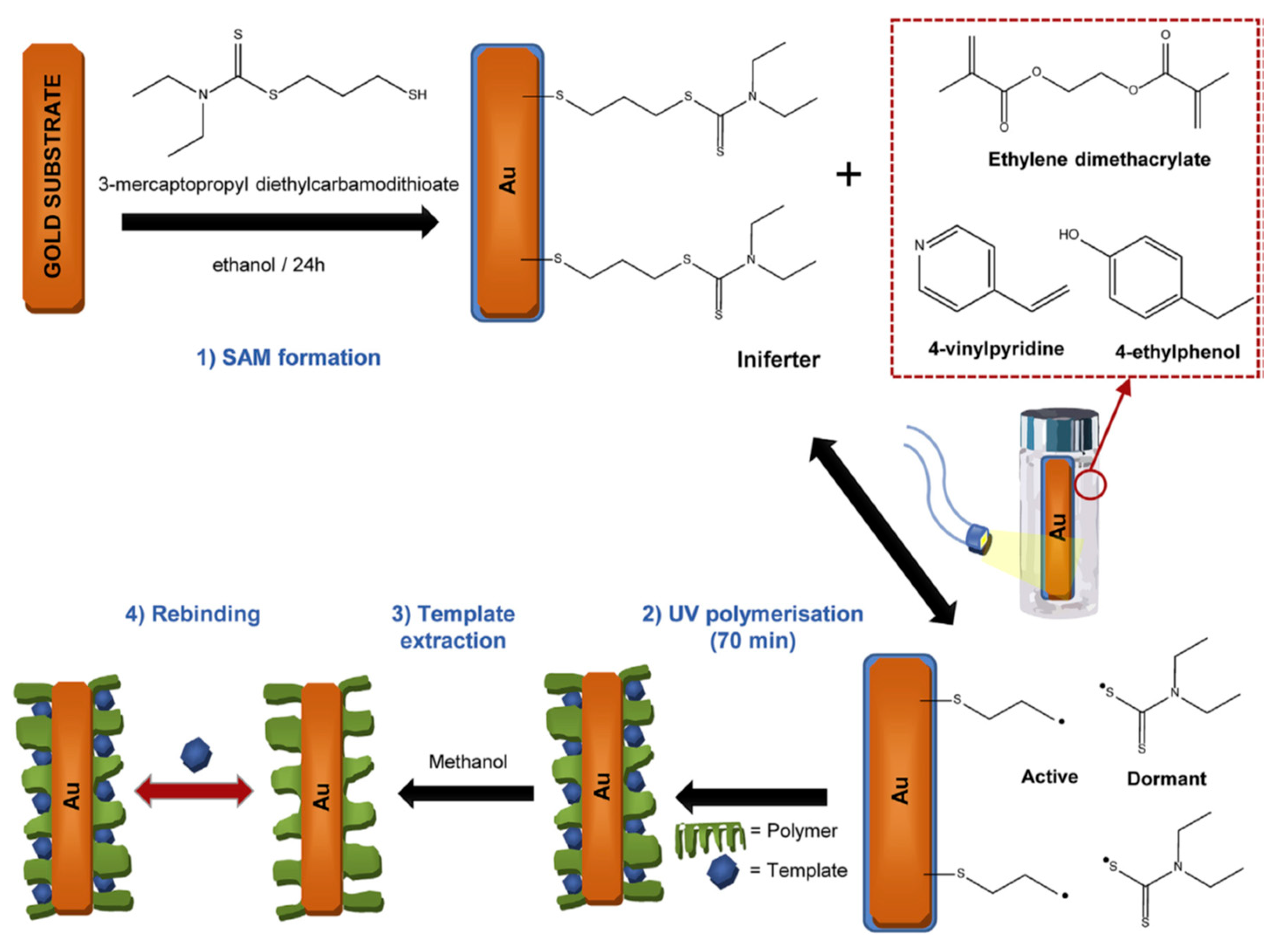 Ijms 24 01915 g018 Ijms 24 01915 g018