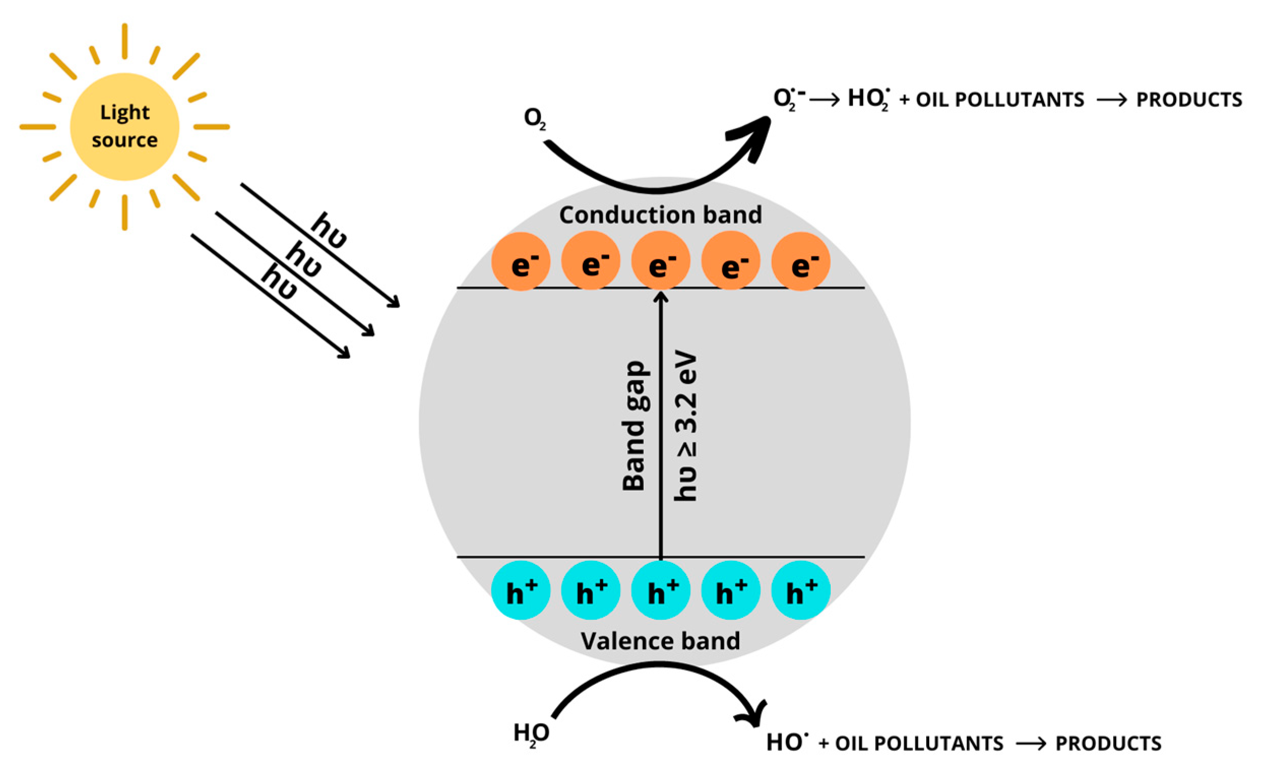 Ijms 24 01916 g001 Ijms 24 01916 g001