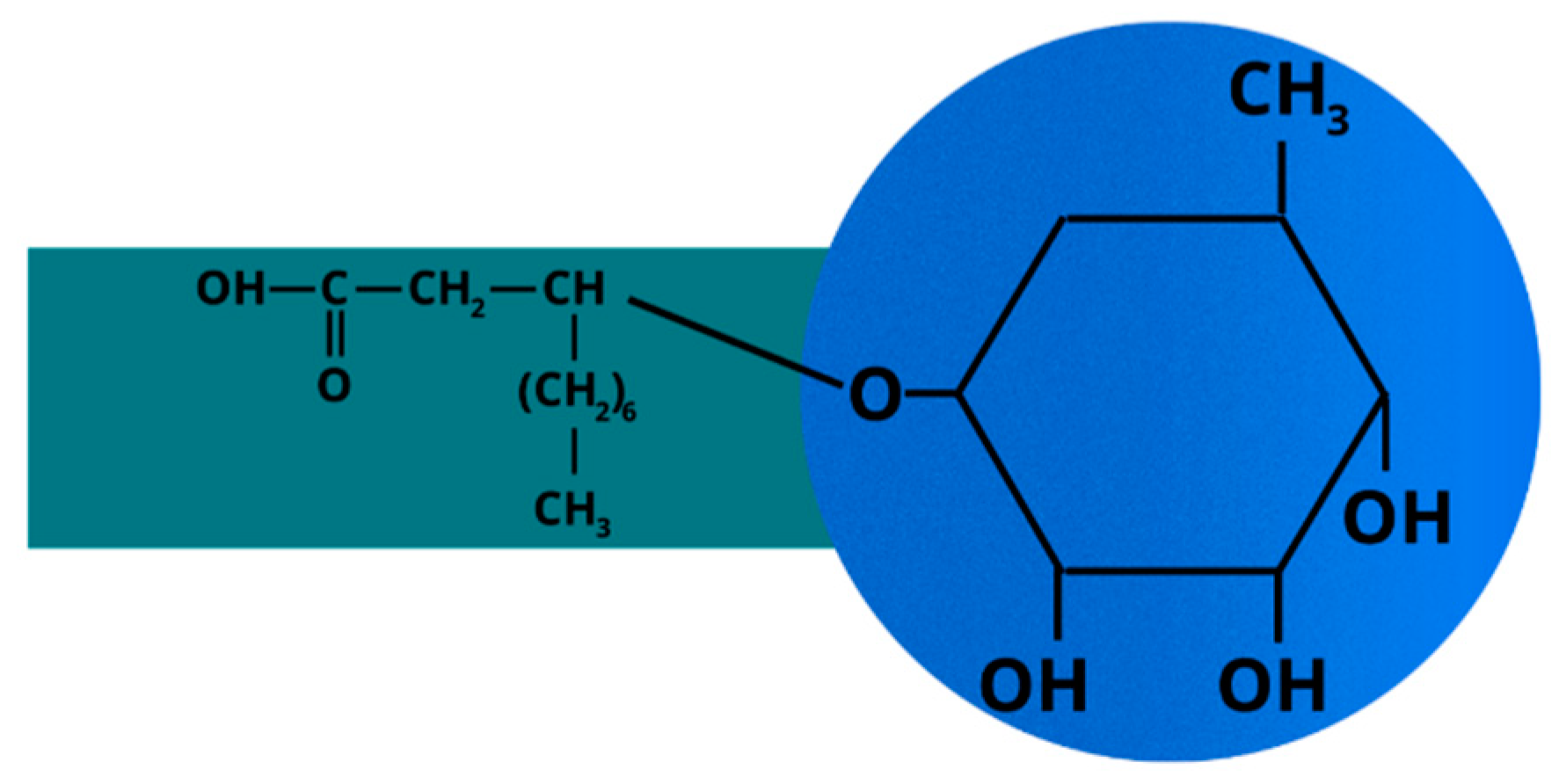 Ijms 24 01916 g002 Ijms 24 01916 g002