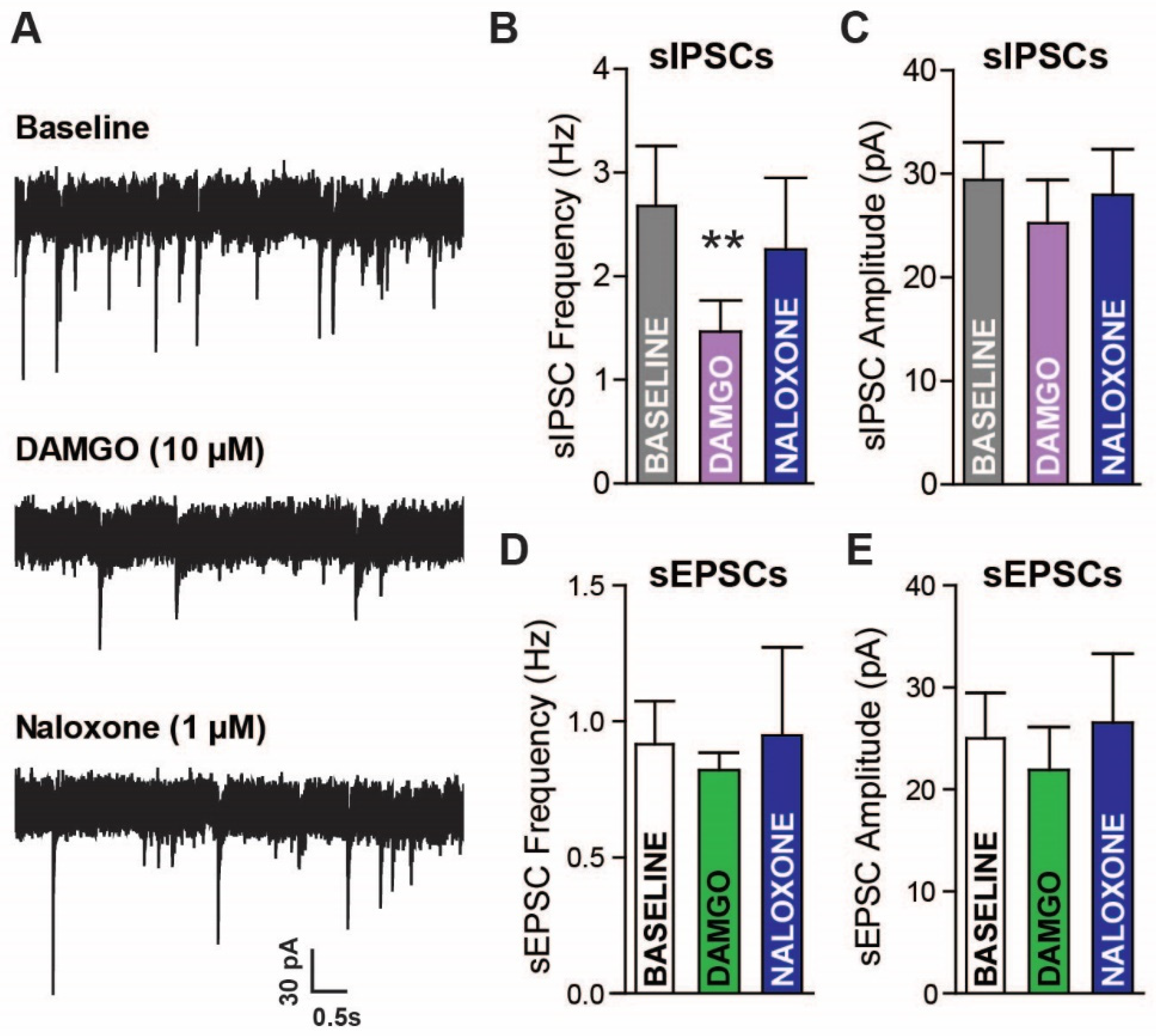 Ijms 24 01929 g003 Ijms 24 01929 g003