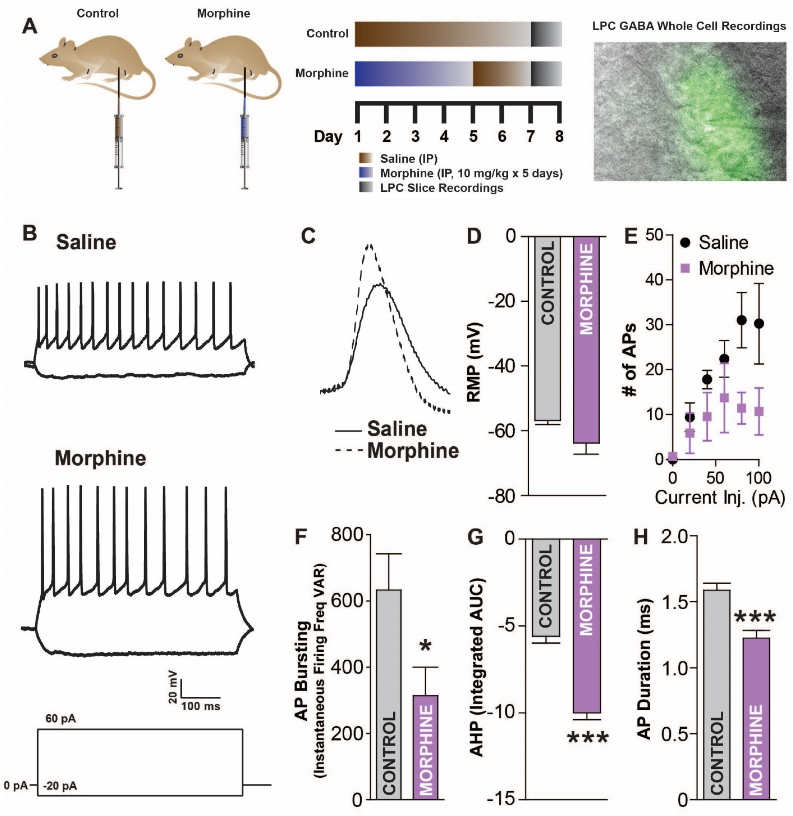 Ijms 24 01929 g004 Ijms 24 01929 g004
