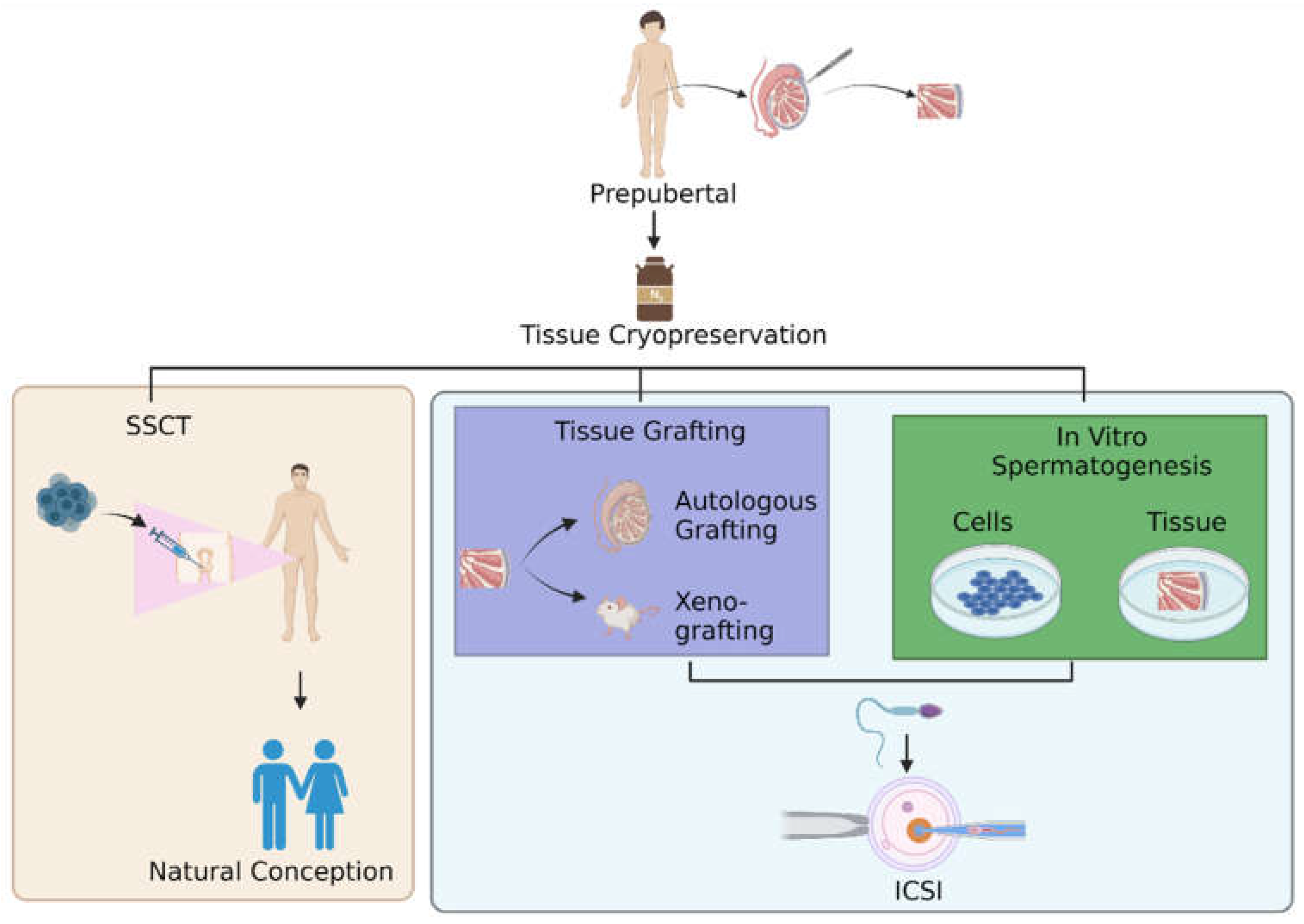 Ijms 24 01945 g001 Ijms 24 01945 g001