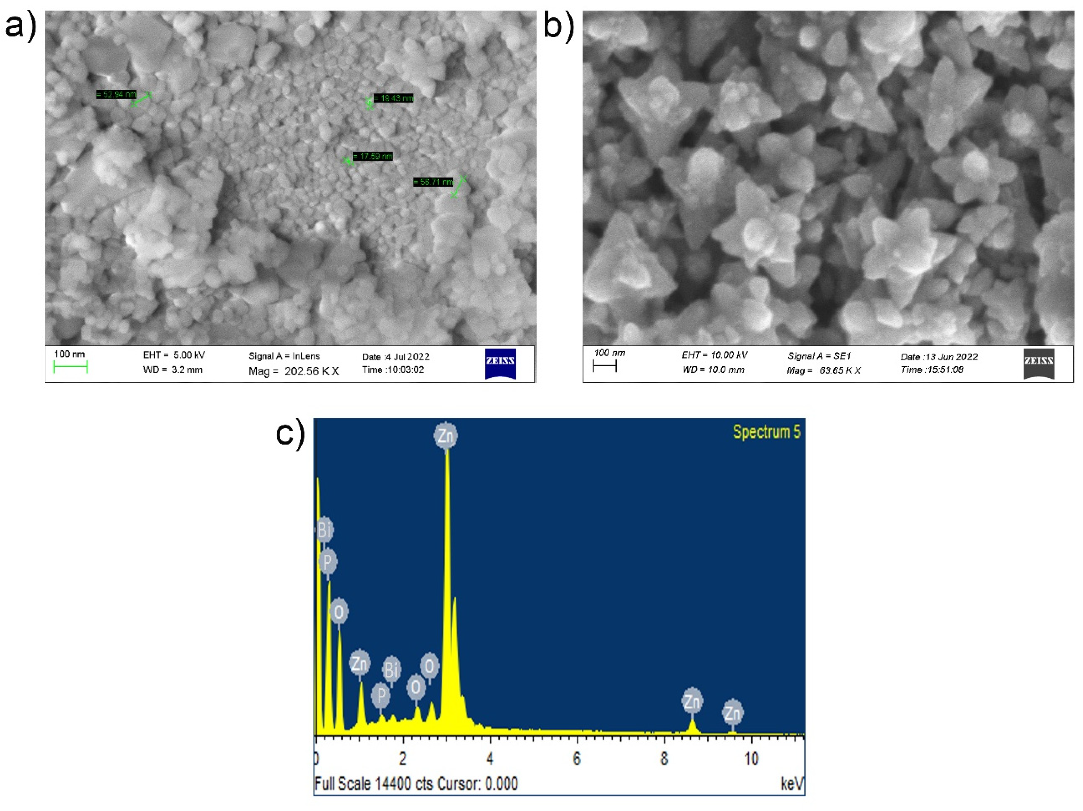 Ijms 24 01947 g003 Ijms 24 01947 g003