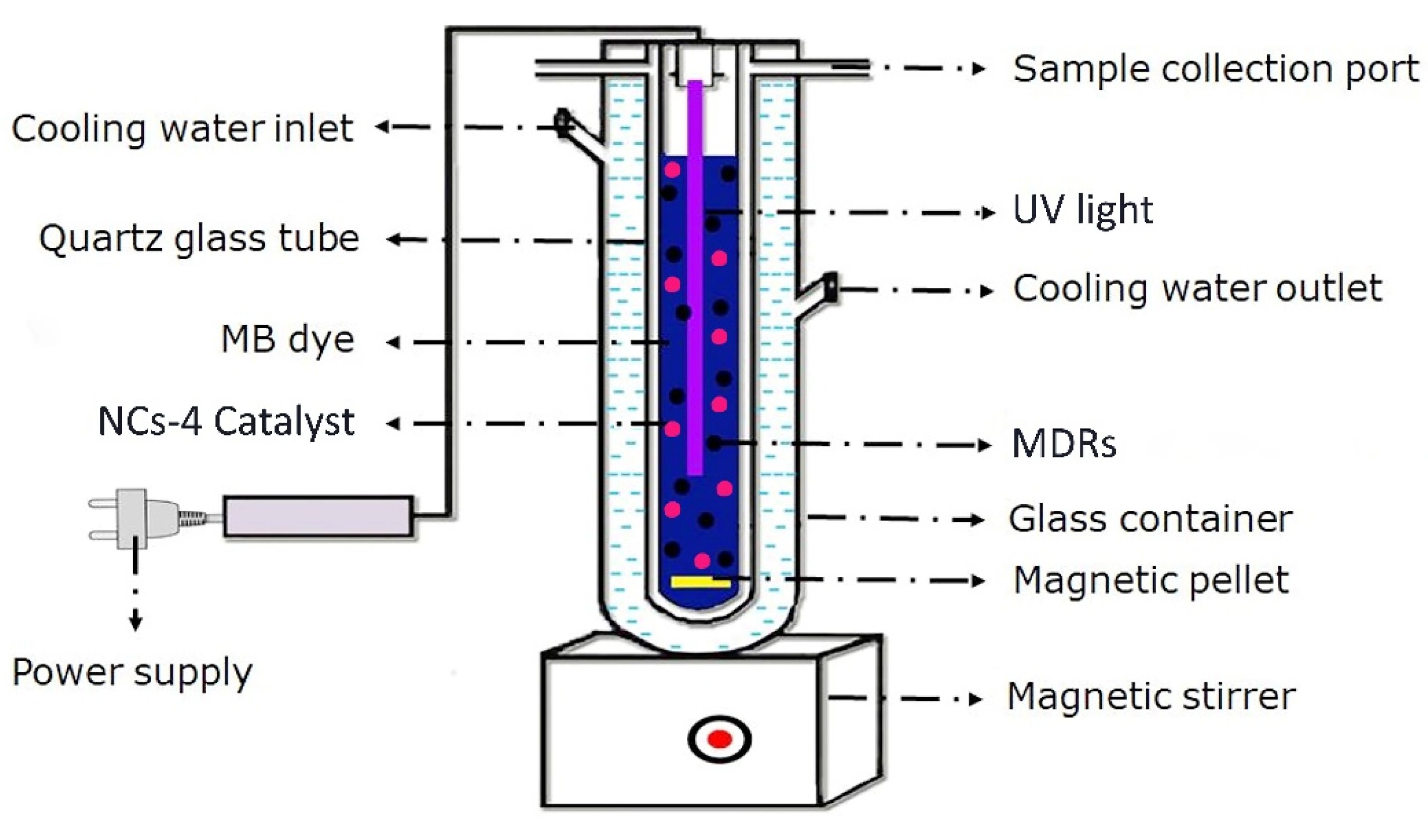 Ijms 24 01947 g006 Ijms 24 01947 g006