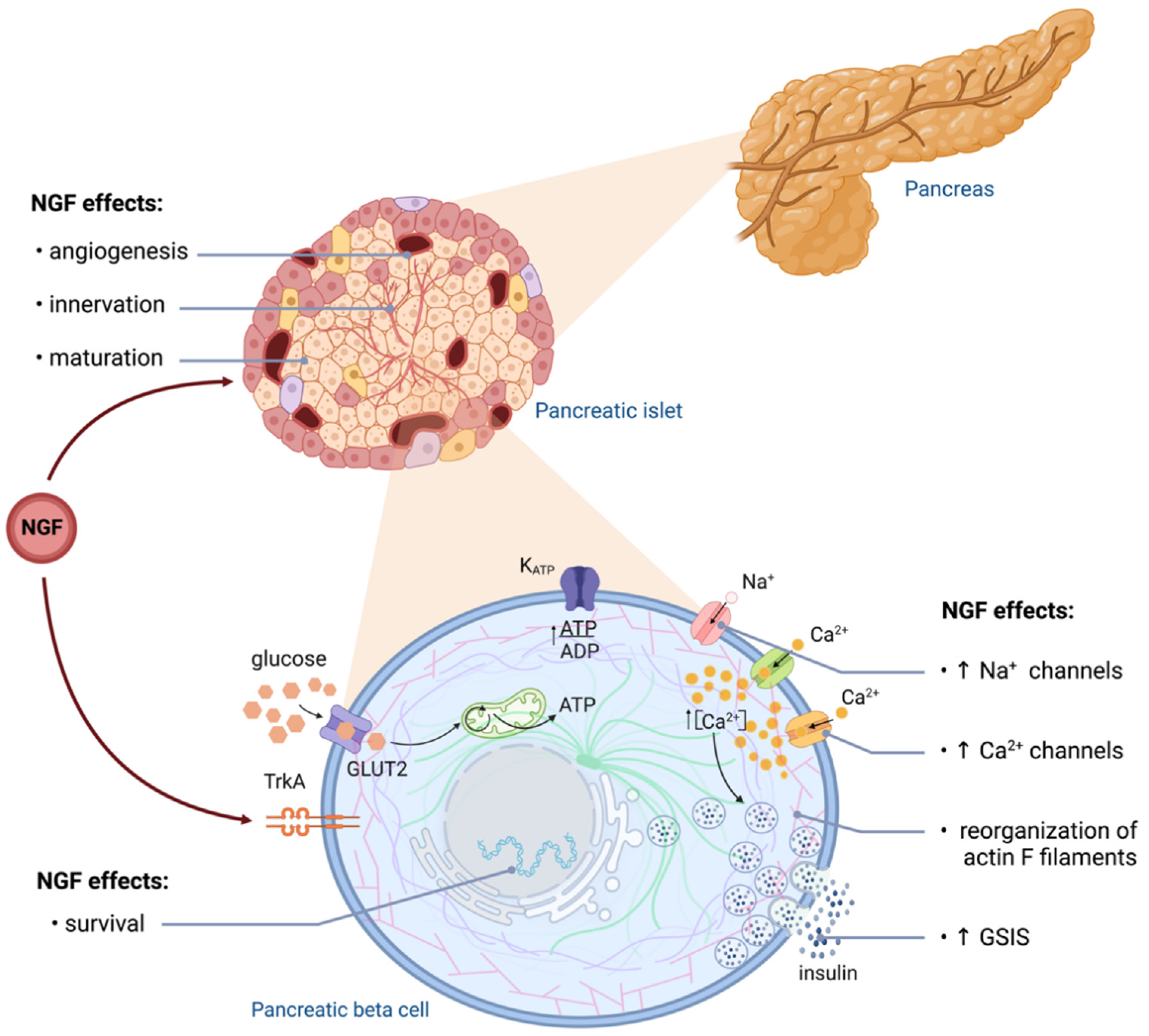 Ijms 24 01957 g002 Ijms 24 01957 g002