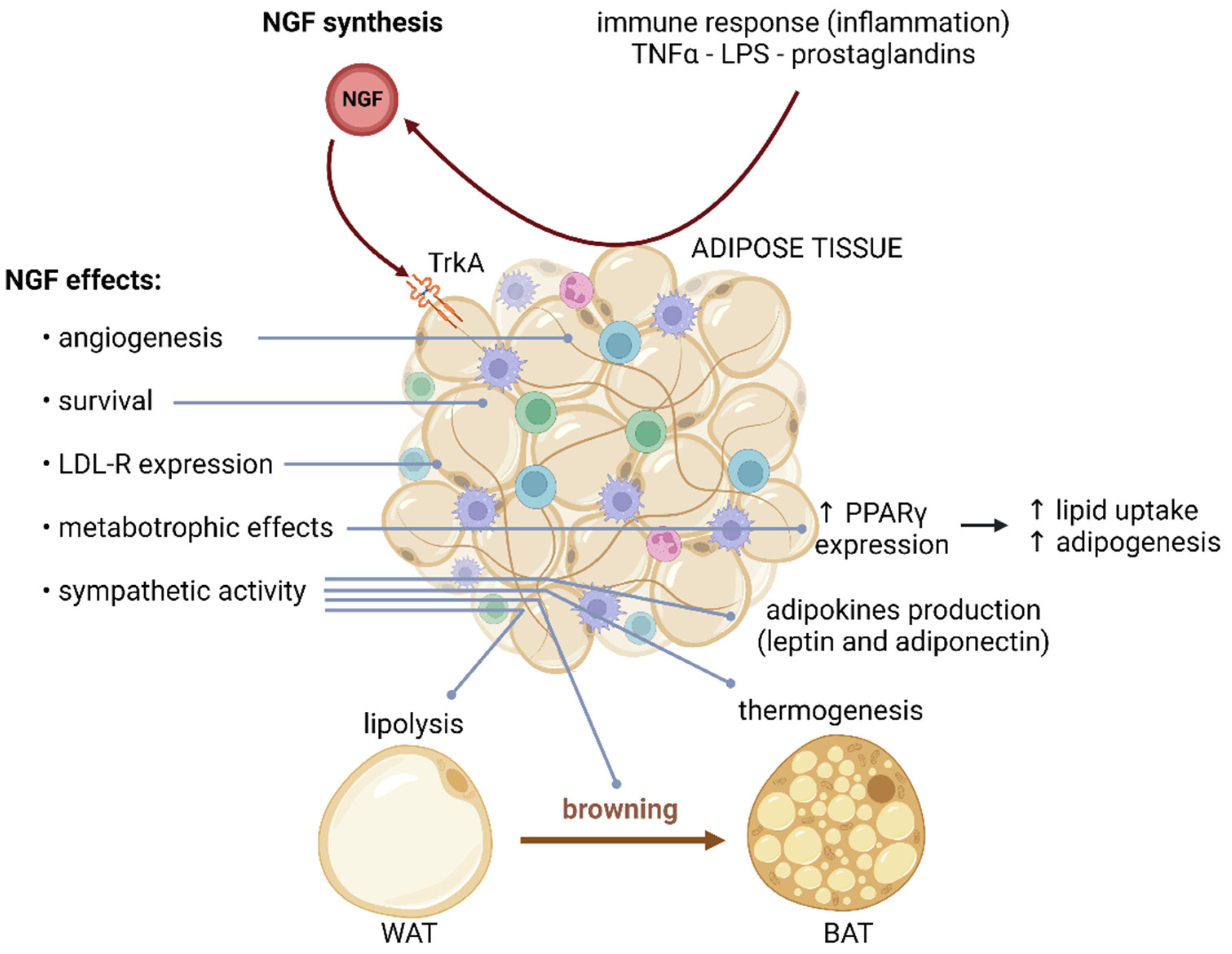 Ijms 24 01957 g003 Ijms 24 01957 g003