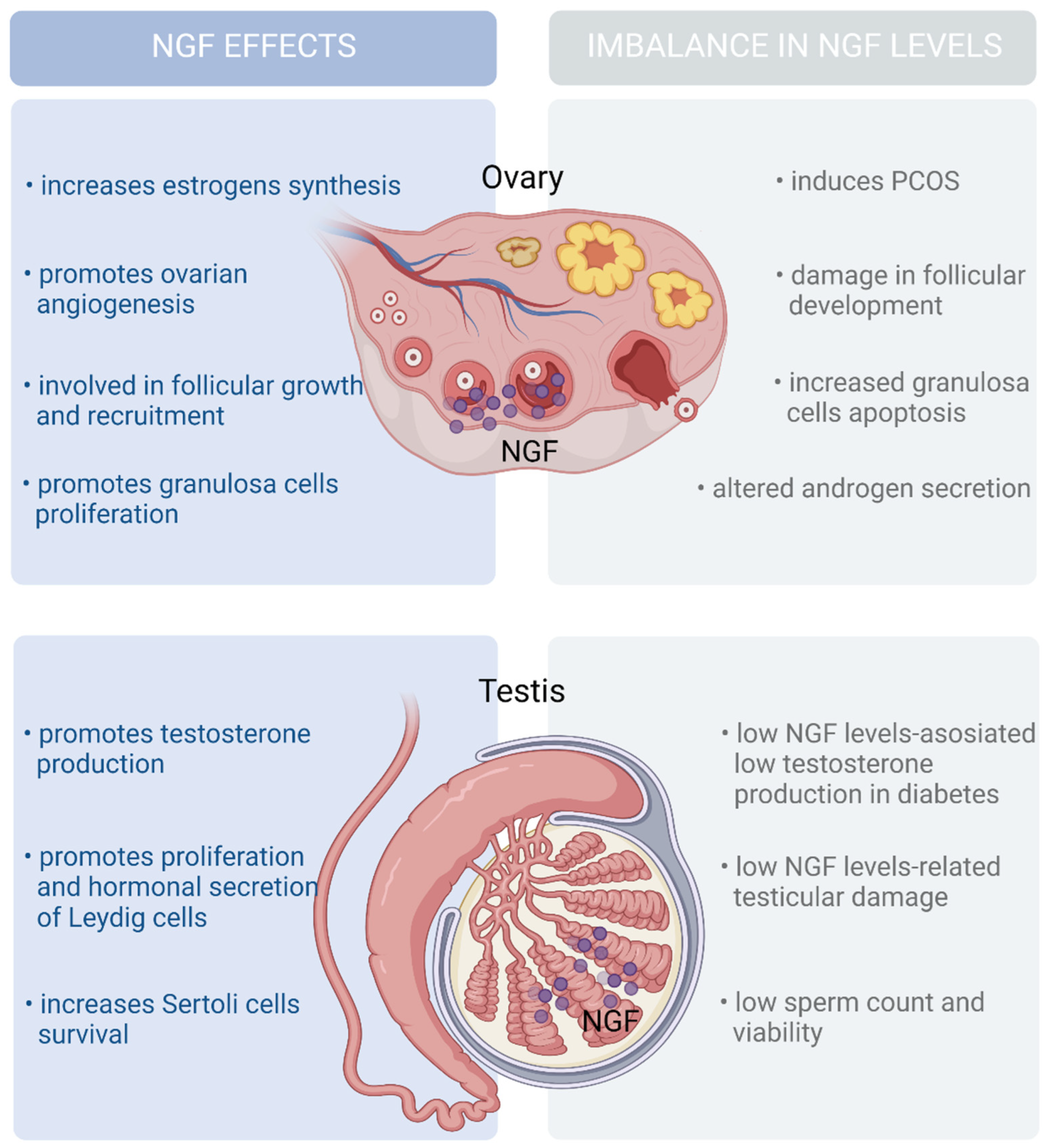 Ijms 24 01957 g005 Ijms 24 01957 g005