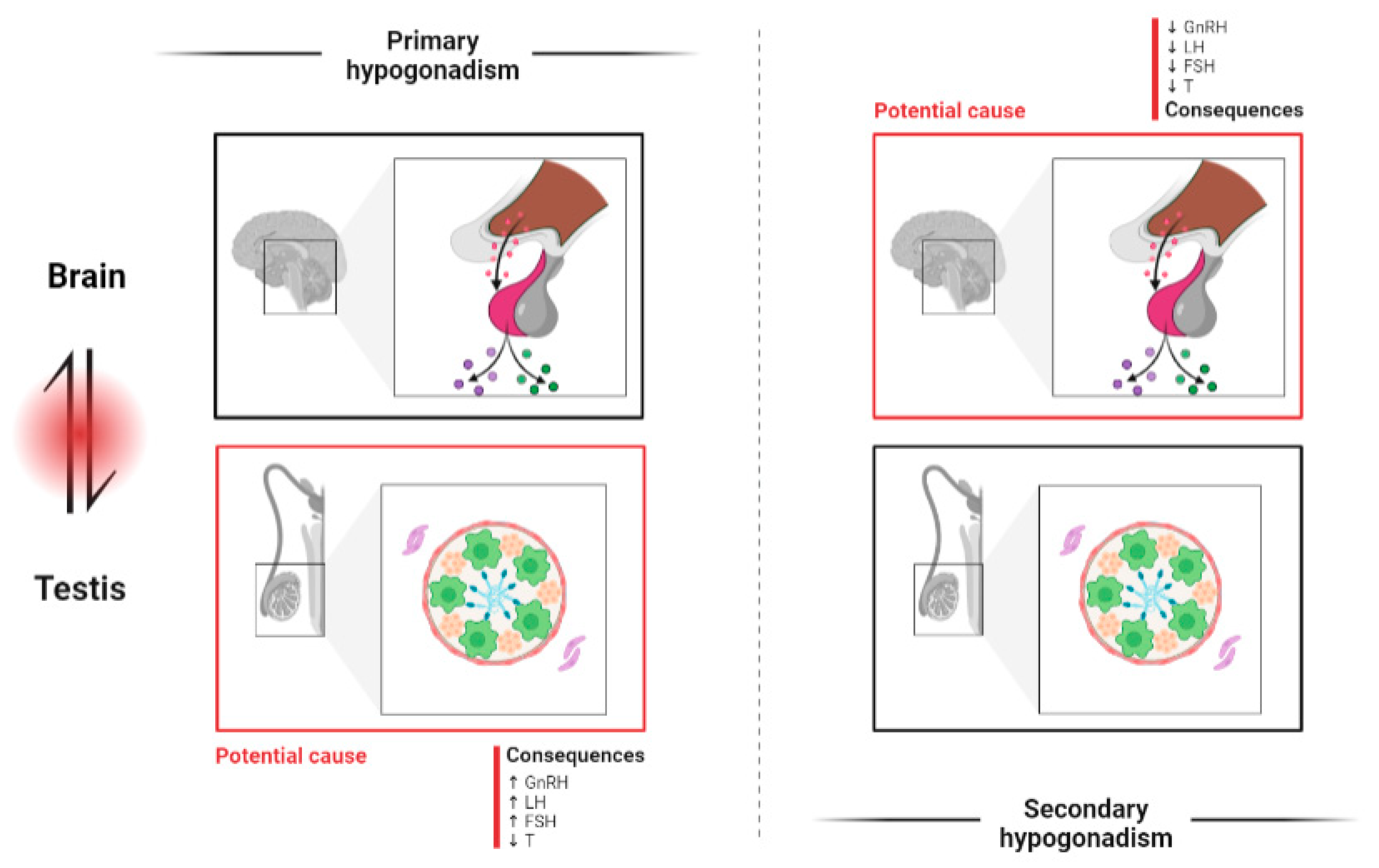 Ijms 24 01960 g002 Ijms 24 01960 g002