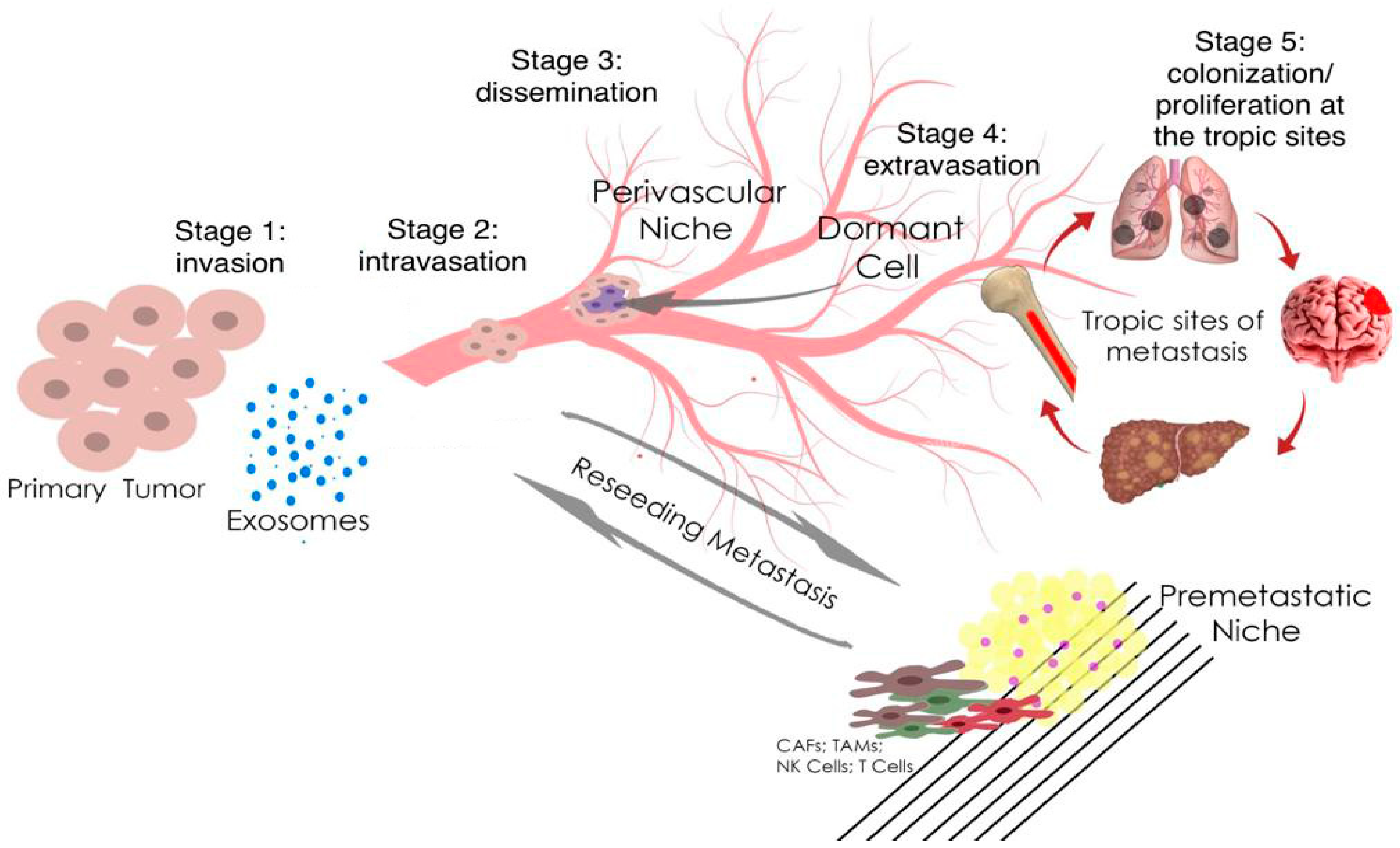 Ijms 24 01980 g001 Ijms 24 01980 g001