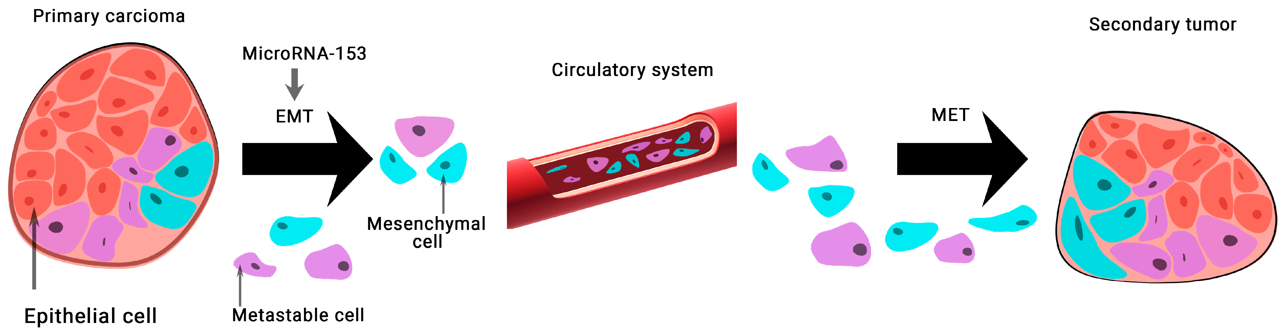 Ijms 24 01980 g003 Ijms 24 01980 g003