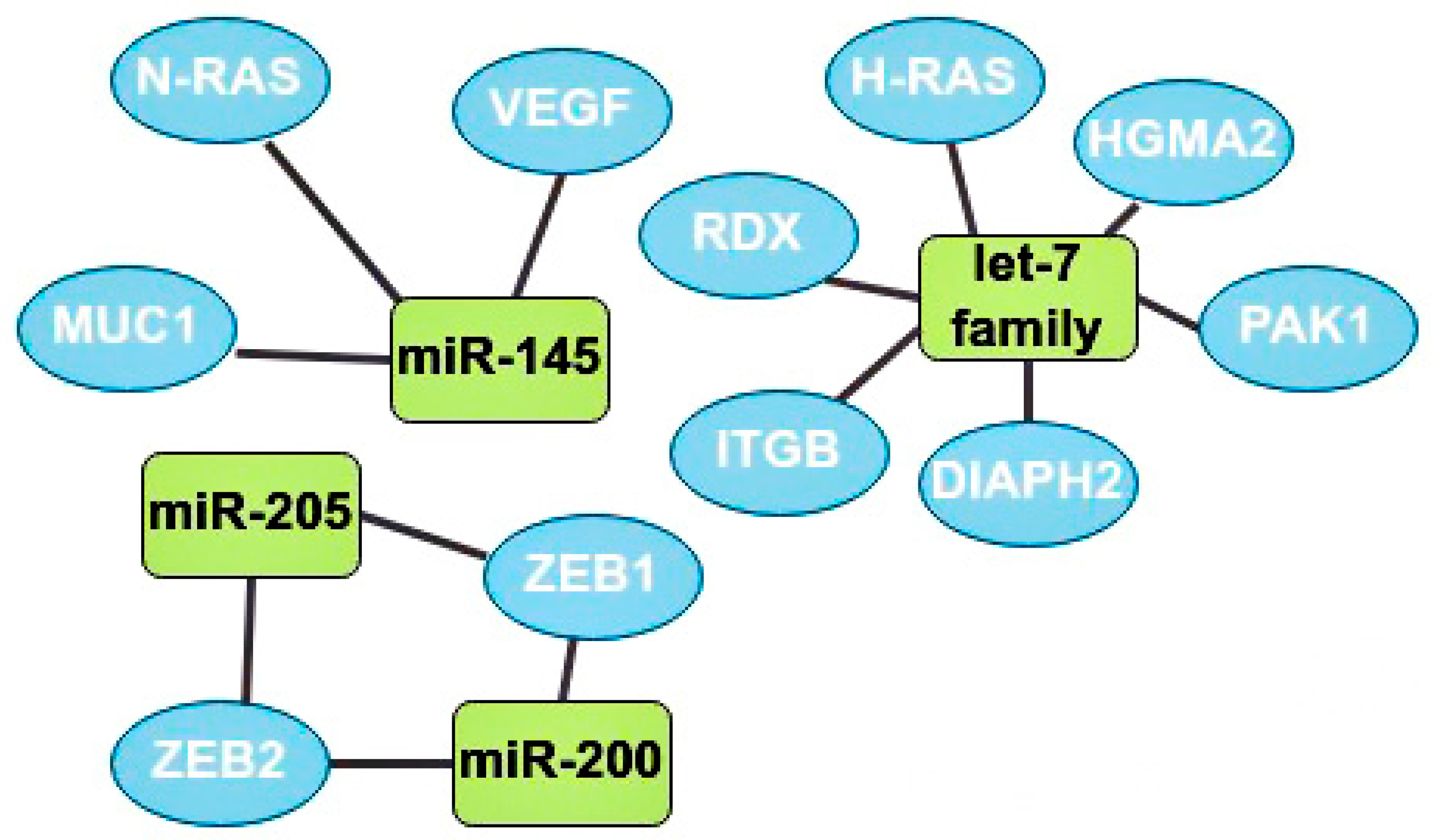 Ijms 24 01980 g005 Ijms 24 01980 g005