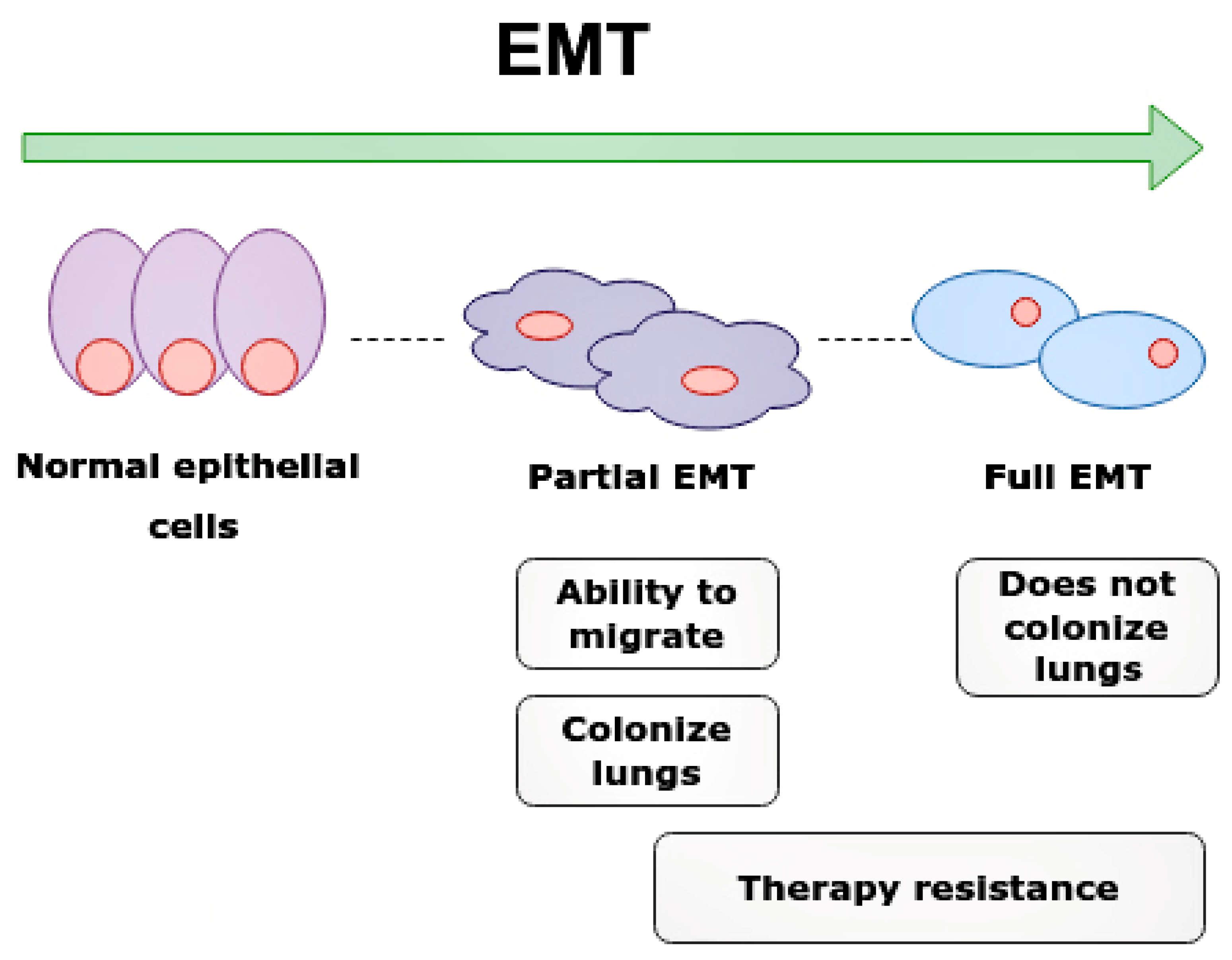 Ijms 24 01980 g007 Ijms 24 01980 g007