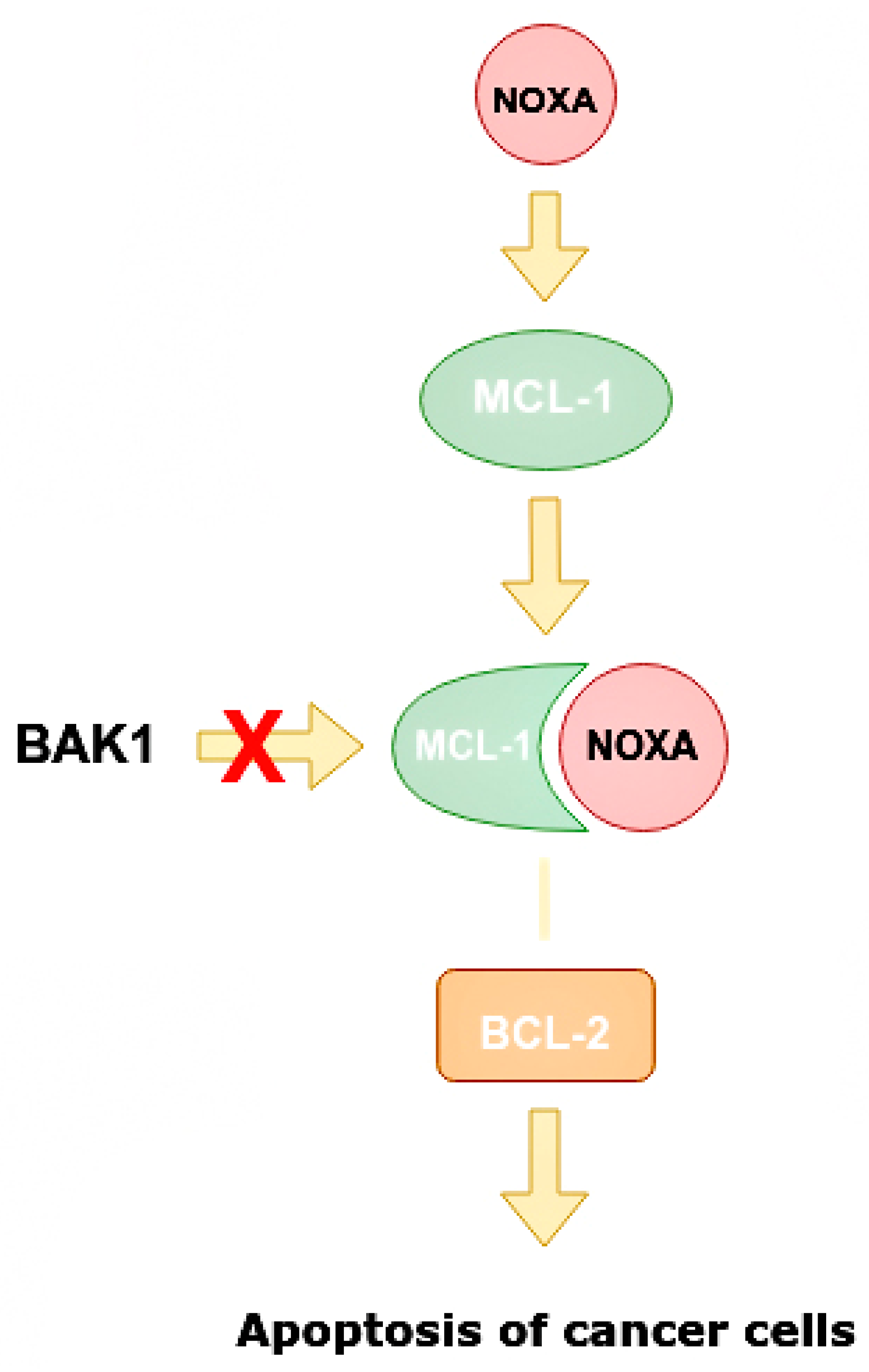 Ijms 24 01980 g008 Ijms 24 01980 g008