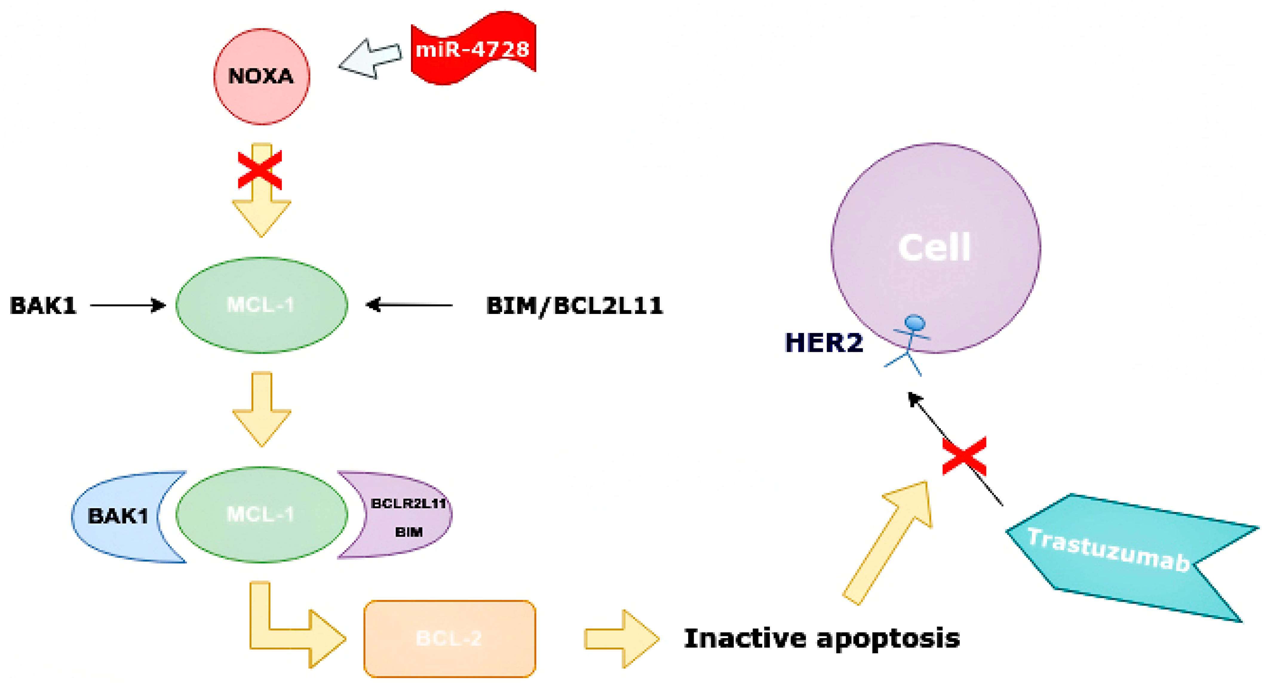 Ijms 24 01980 g009 Ijms 24 01980 g009