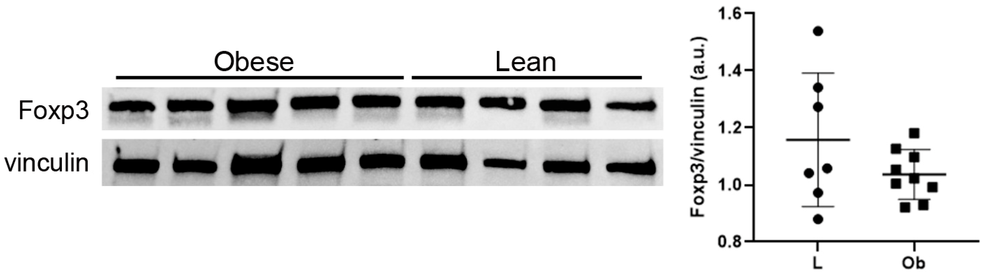 Ijms 24 01991 g005 Ijms 24 01991 g005