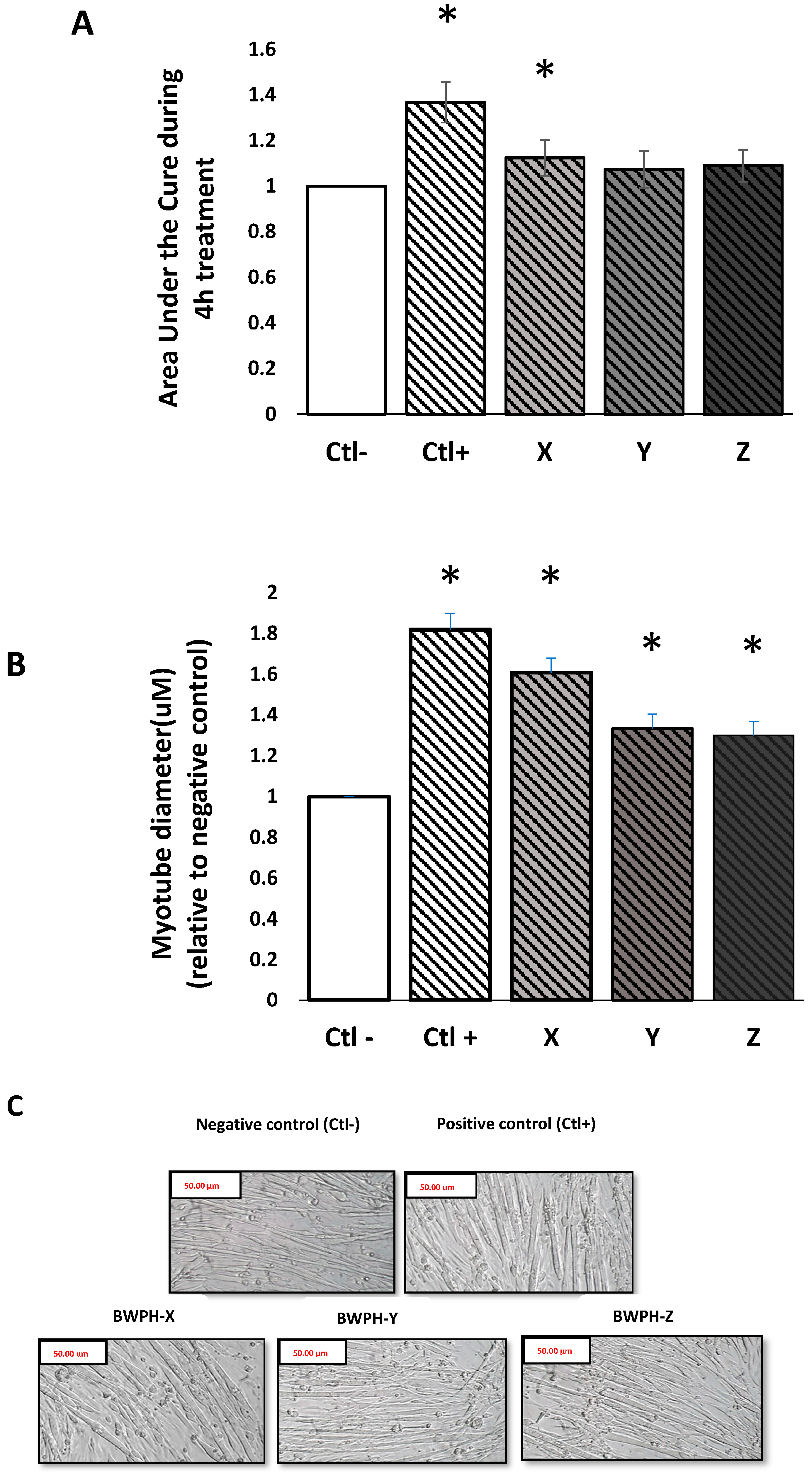 Ijms 24 02001 g002 Ijms 24 02001 g002