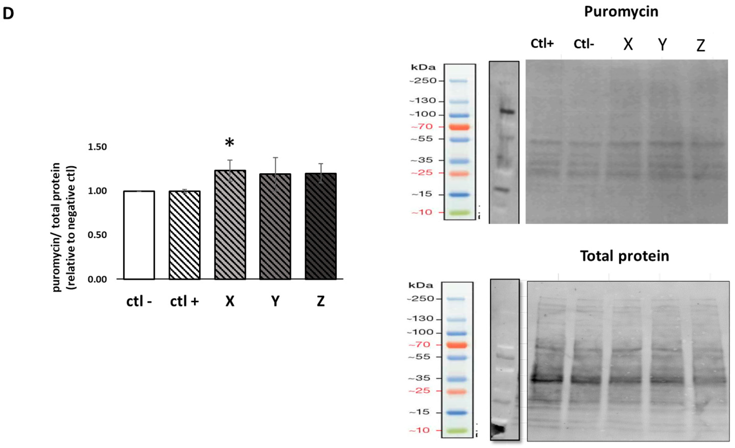 Ijms 24 02001 g003b Ijms 24 02001 g003b