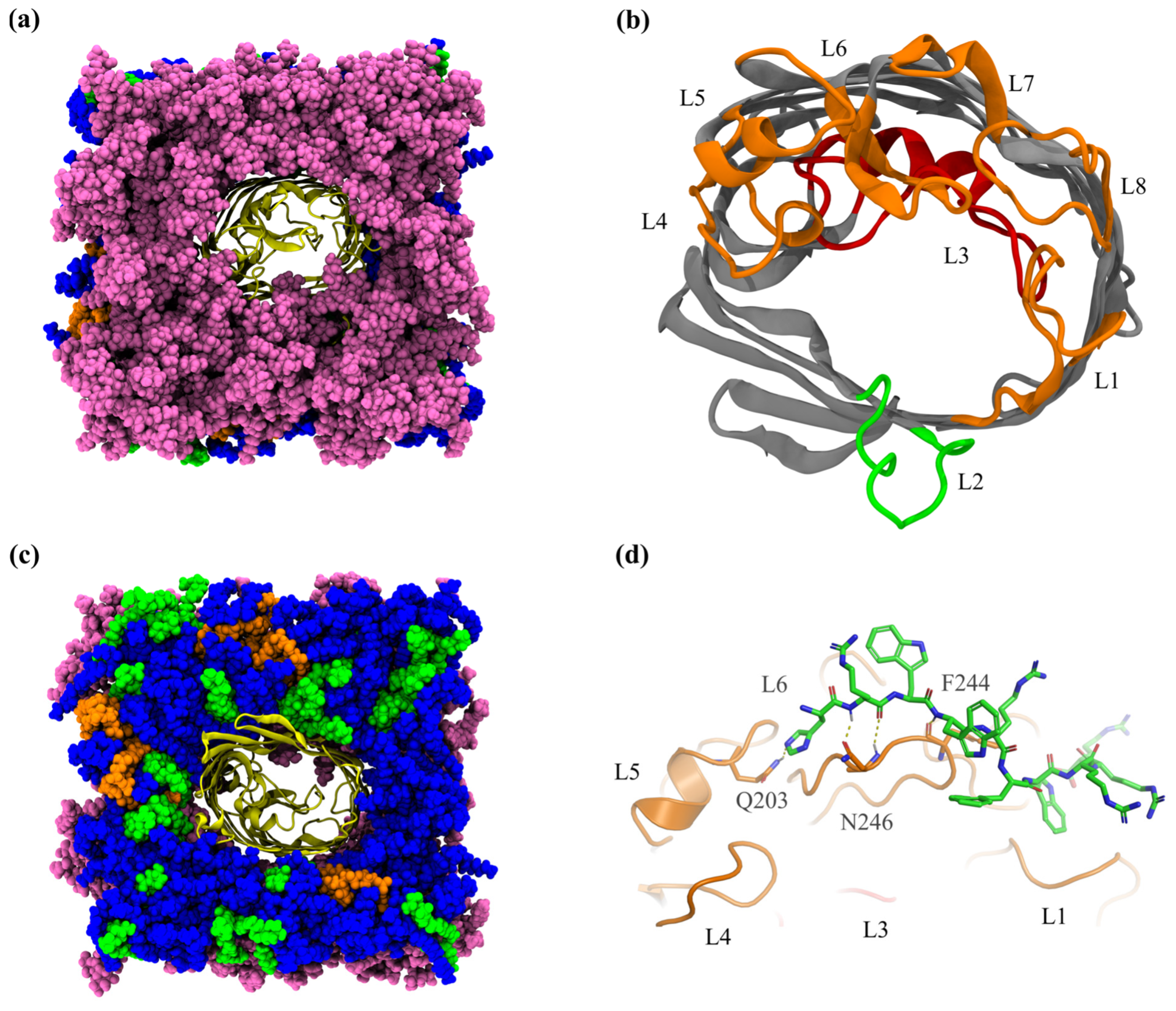 Ijms 24 02005 g003 Ijms 24 02005 g003