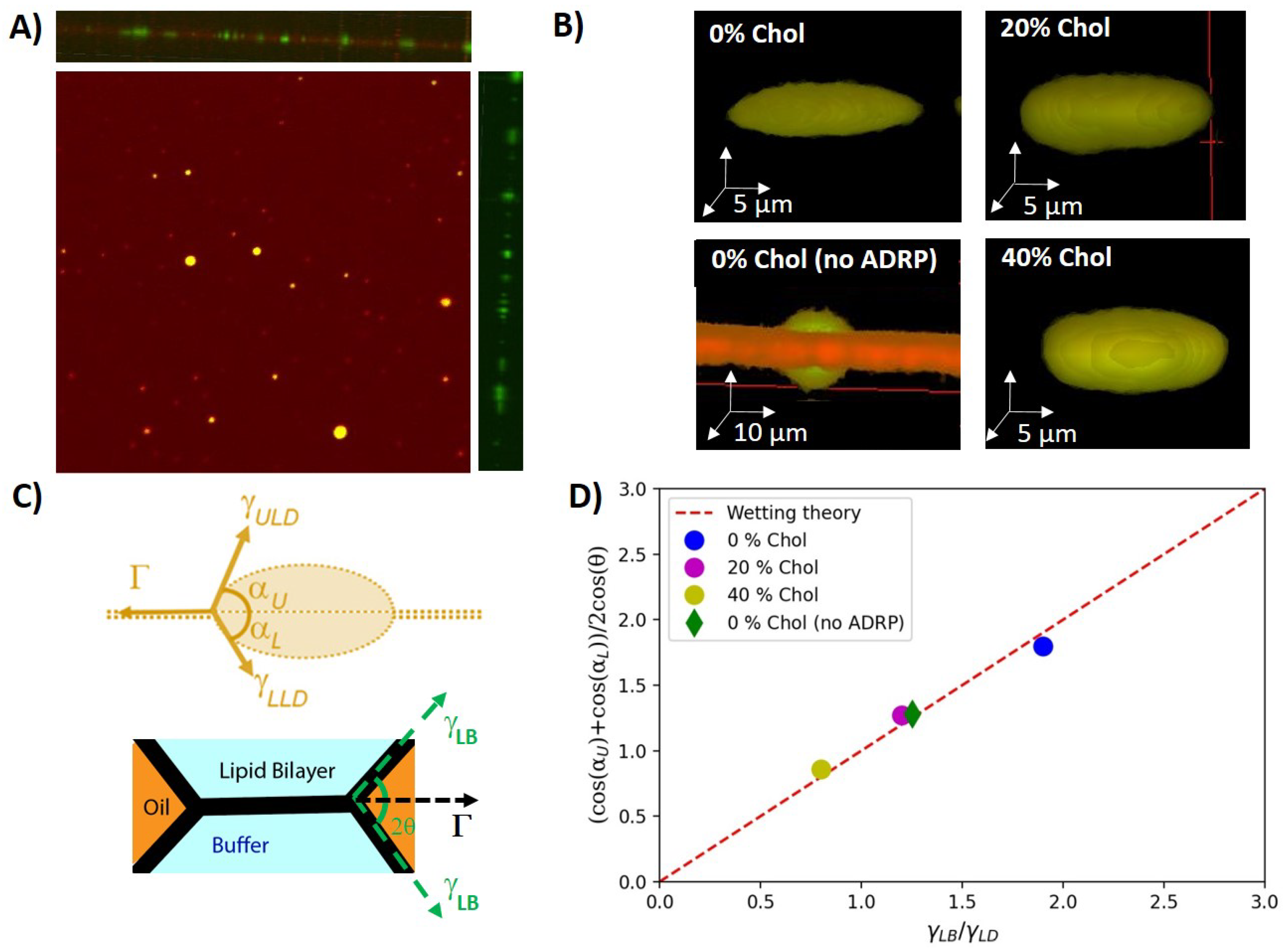 Ijms 24 02072 g002 Ijms 24 02072 g002