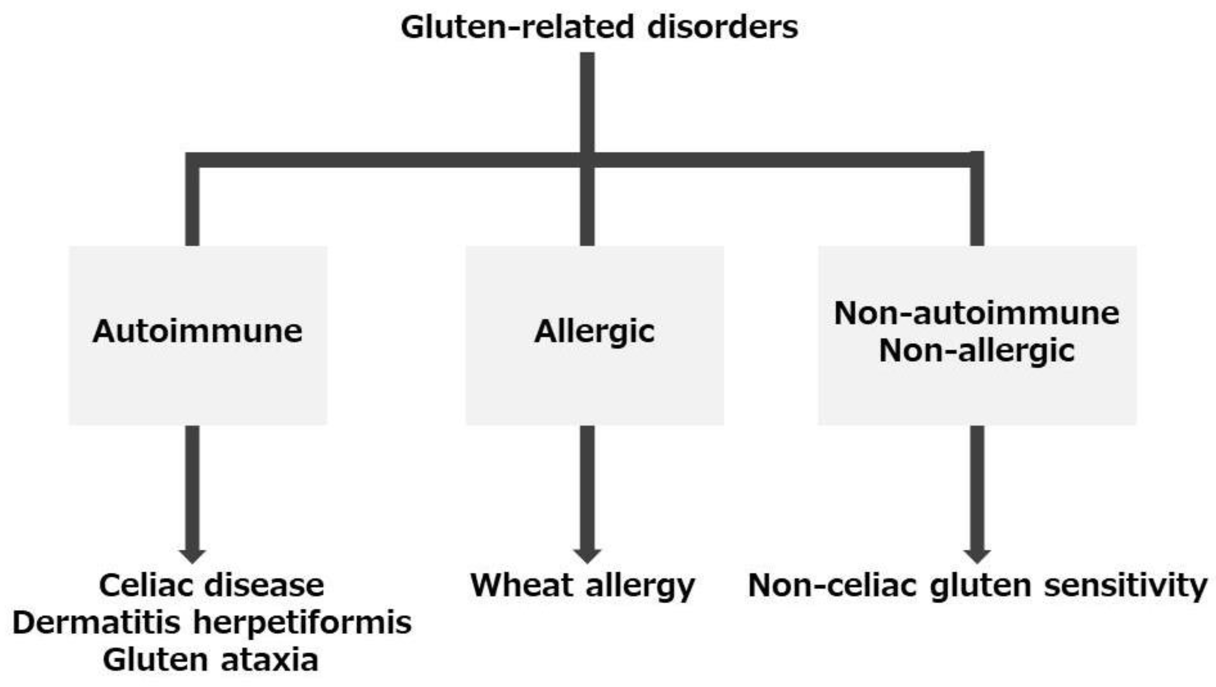 Ijms 24 02075 g001 Ijms 24 02075 g001