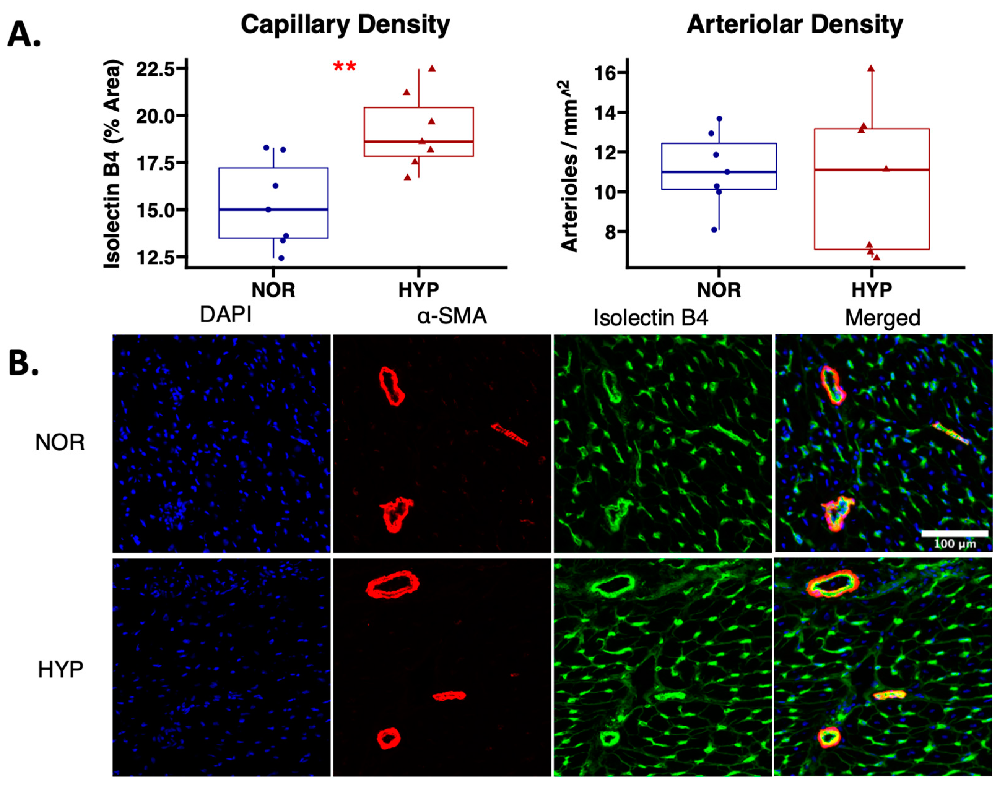 Ijms 24 02076 g003 Ijms 24 02076 g003