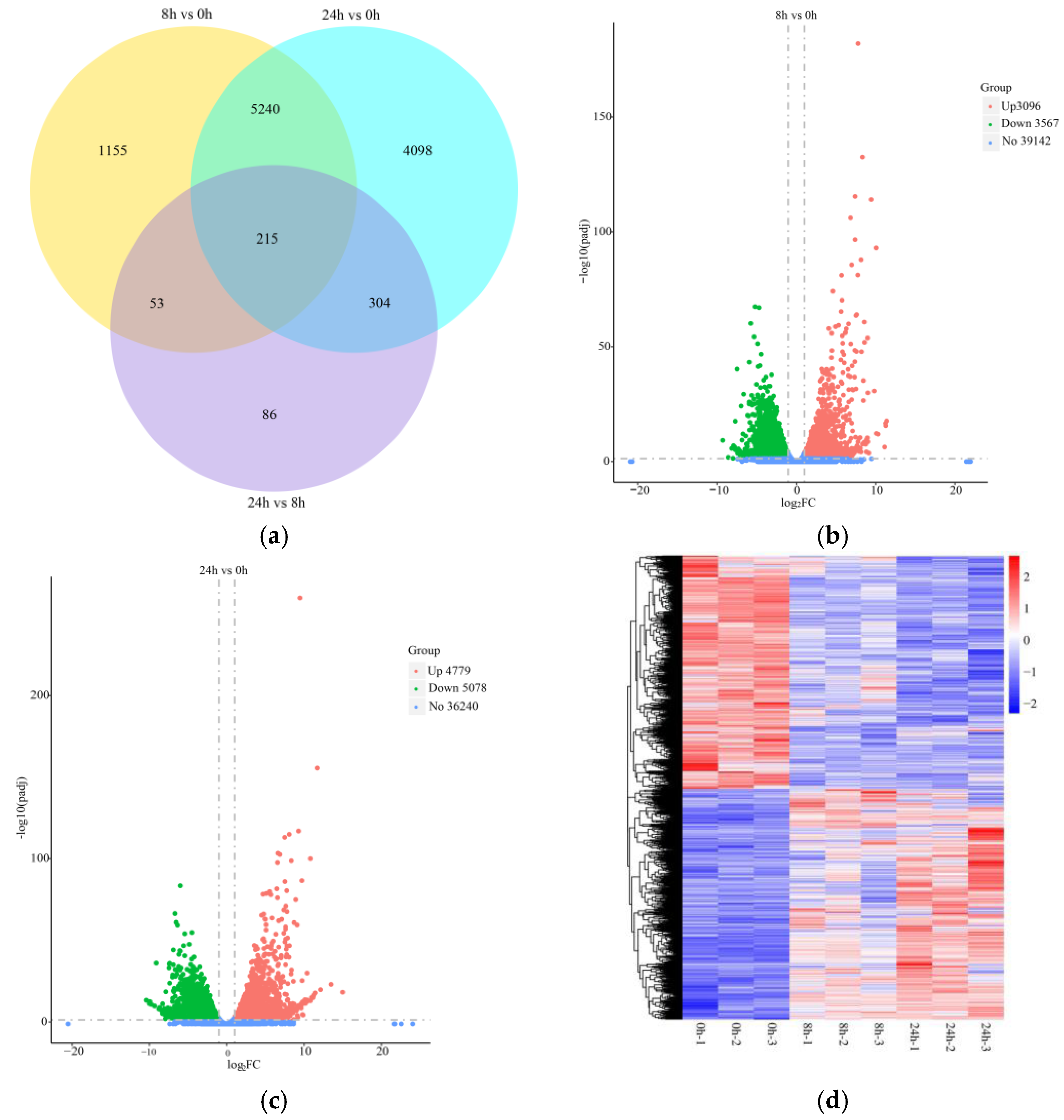 Ijms 24 02089 g002 Ijms 24 02089 g002