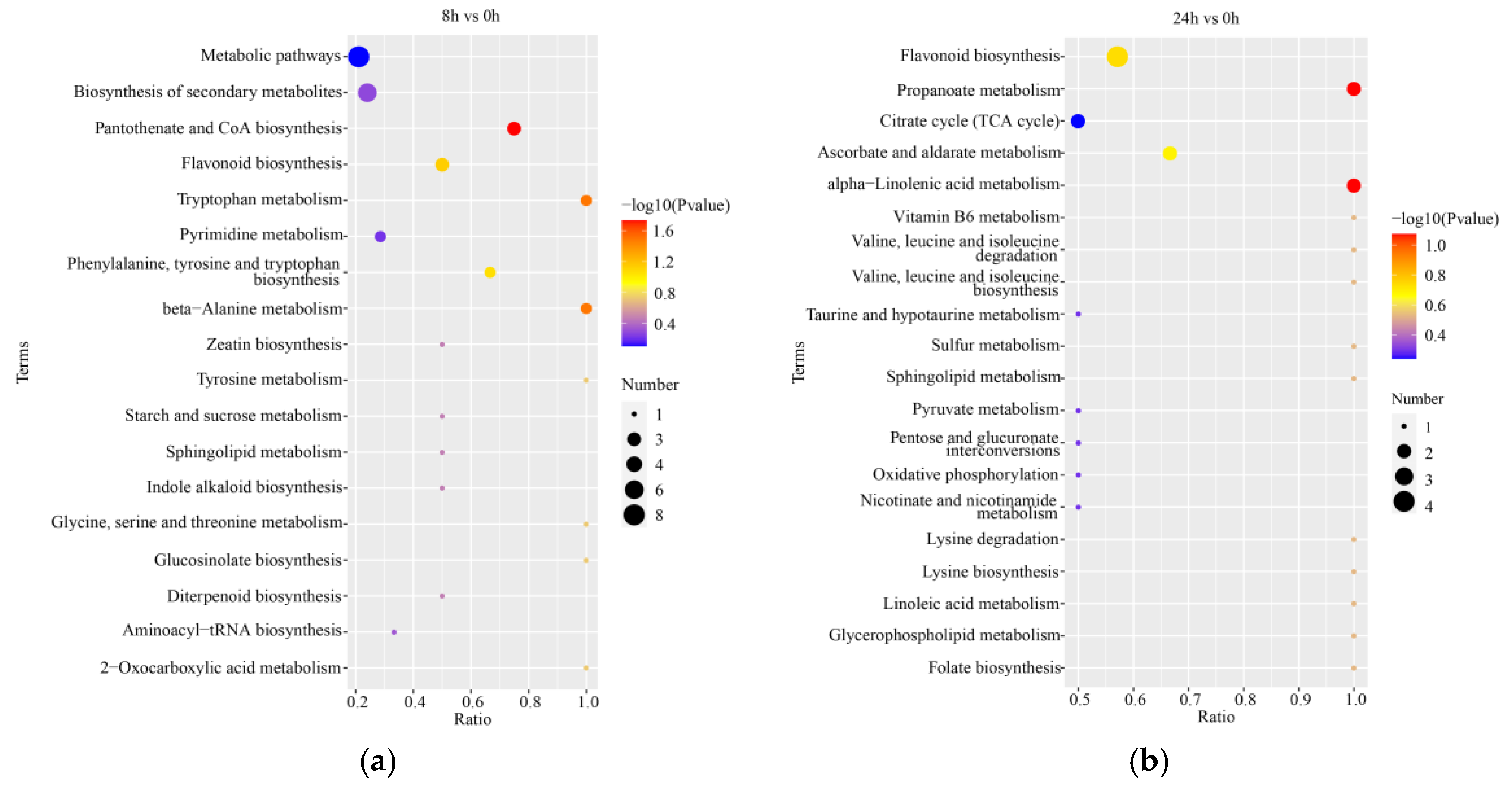 Ijms 24 02089 g006 Ijms 24 02089 g006