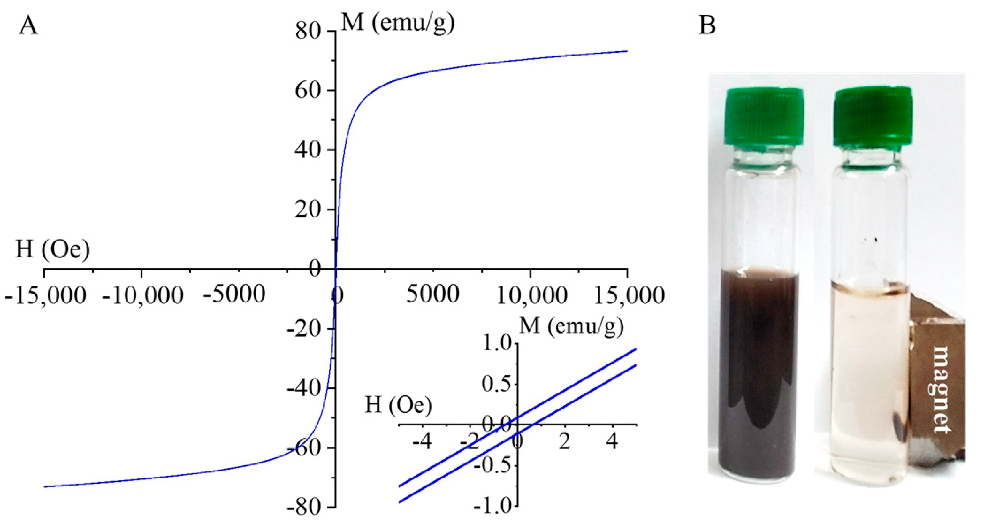 Ijms 24 02156 g005 Ijms 24 02156 g005